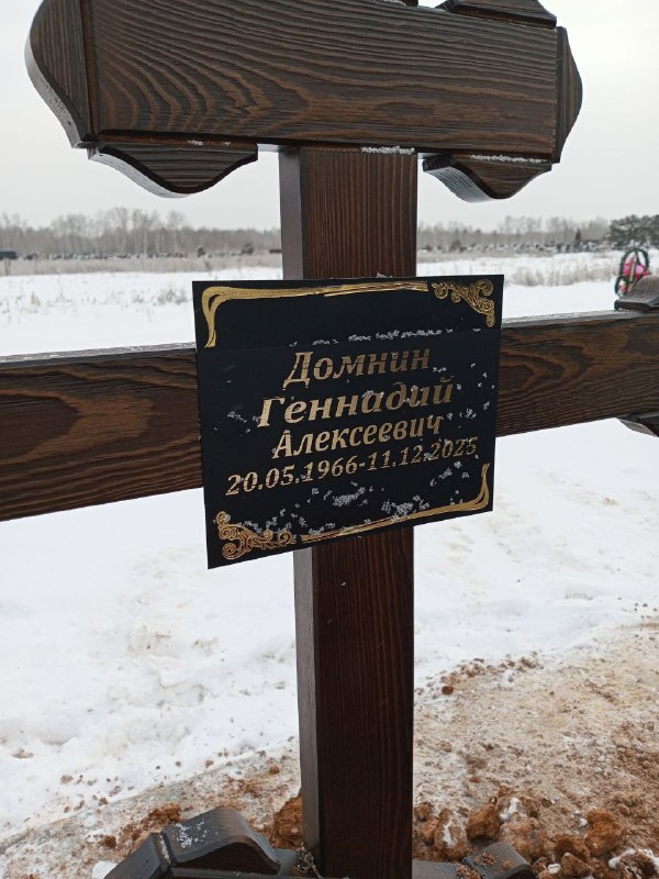 Домнин Геннадий Алексеевич