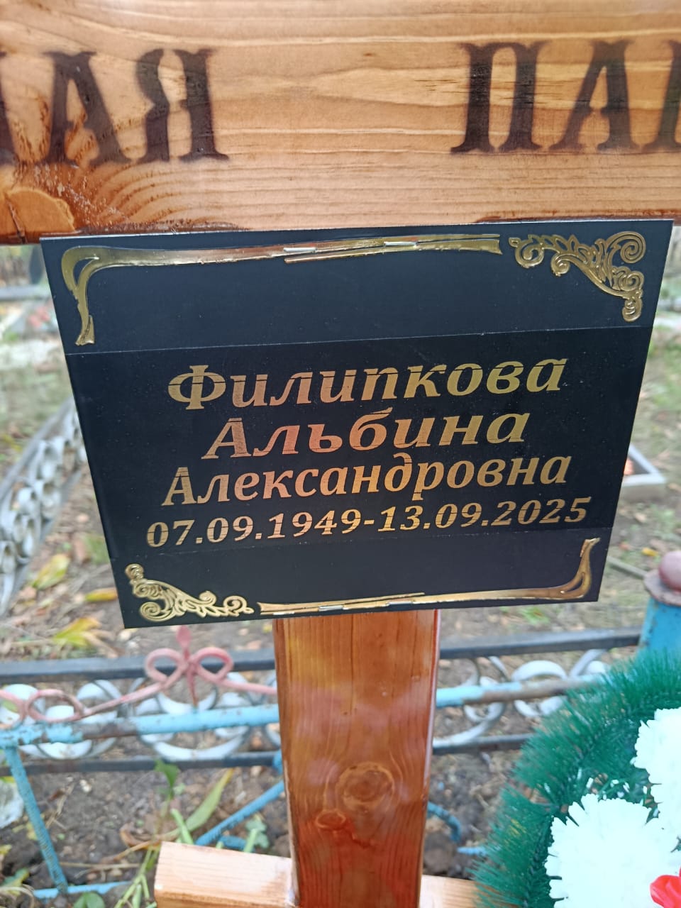 Филипкова Альбина Александровна