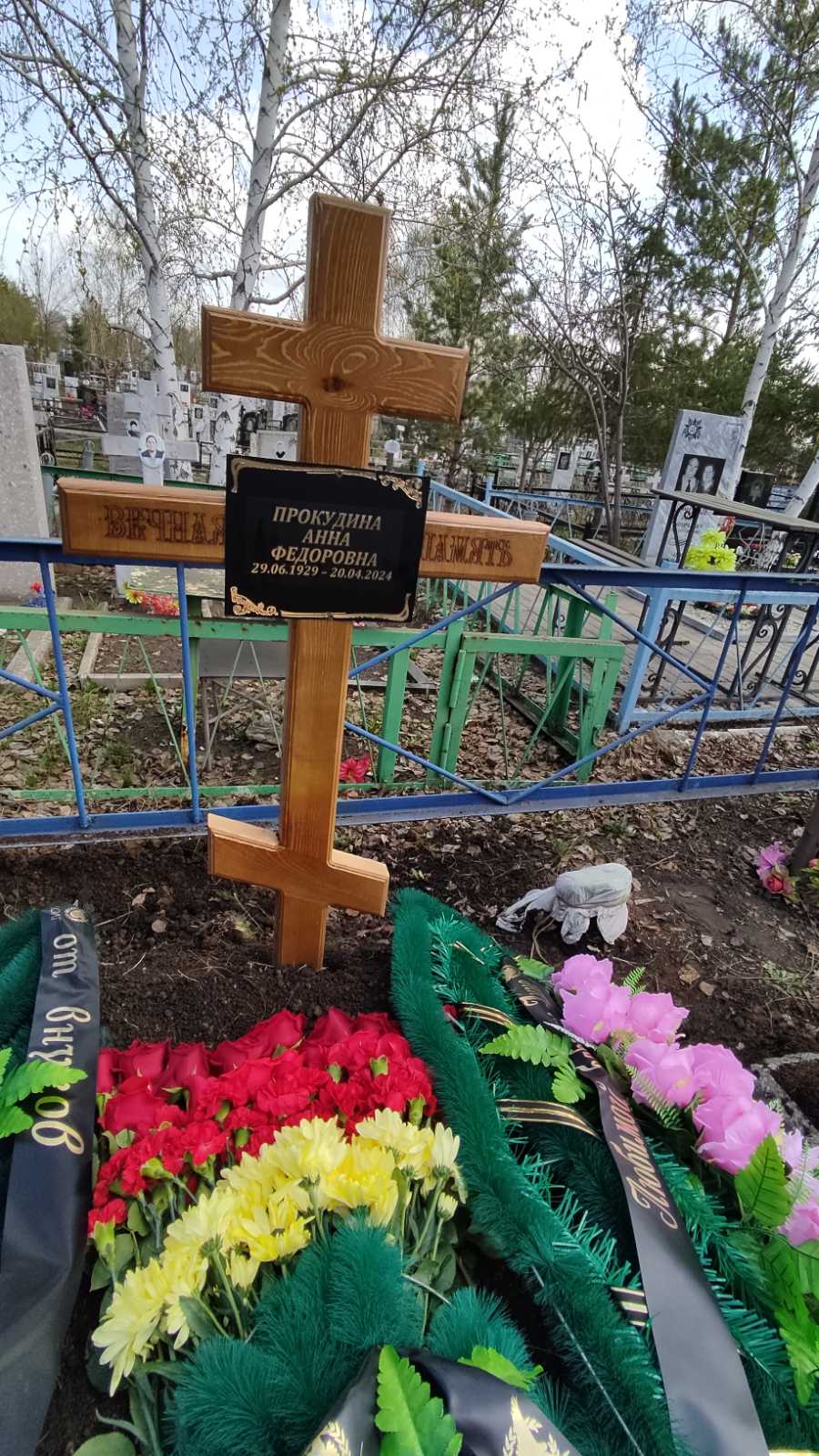 Прокудина Анна Федоровна