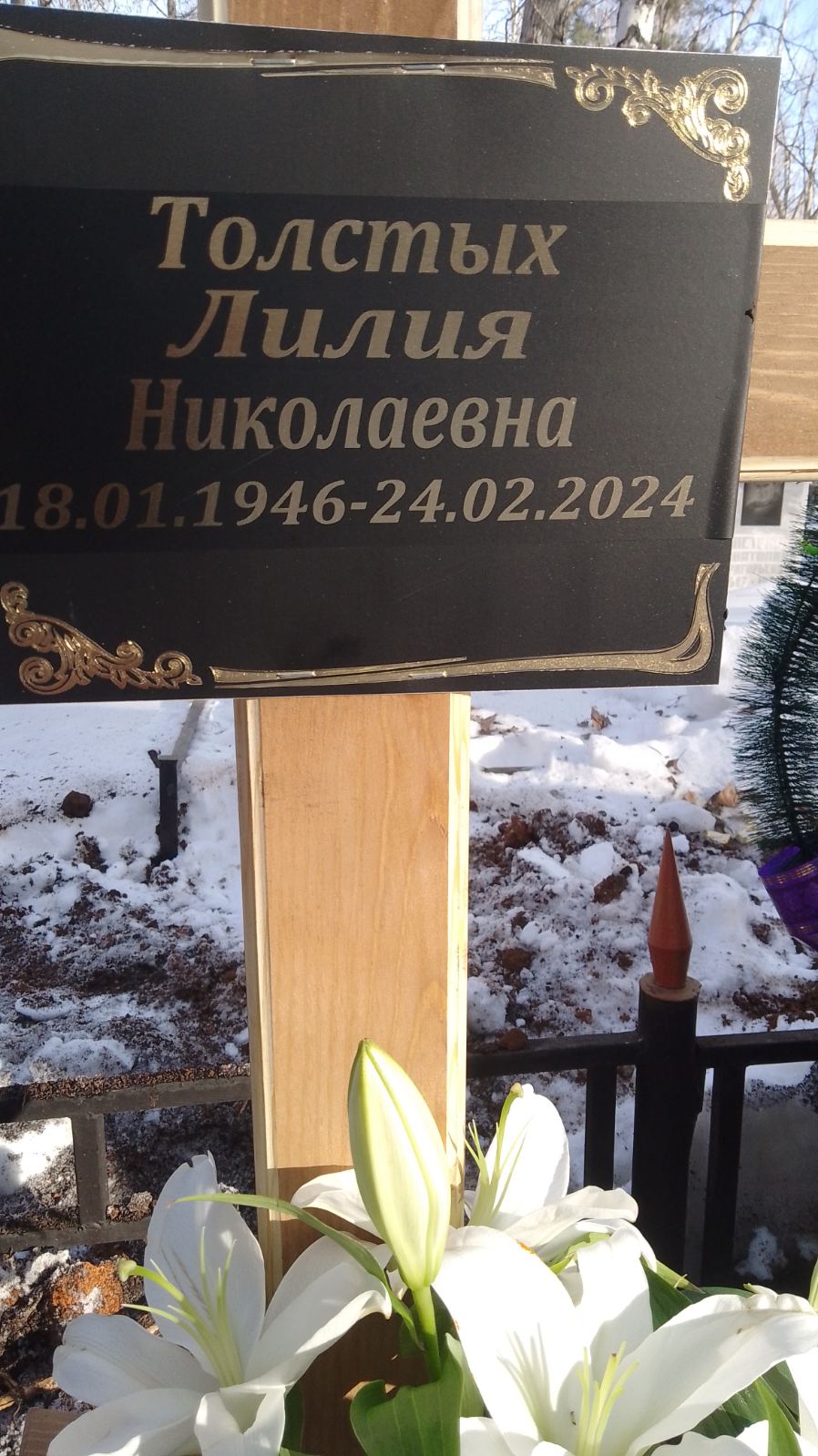 Толстых Лилия Николаевна