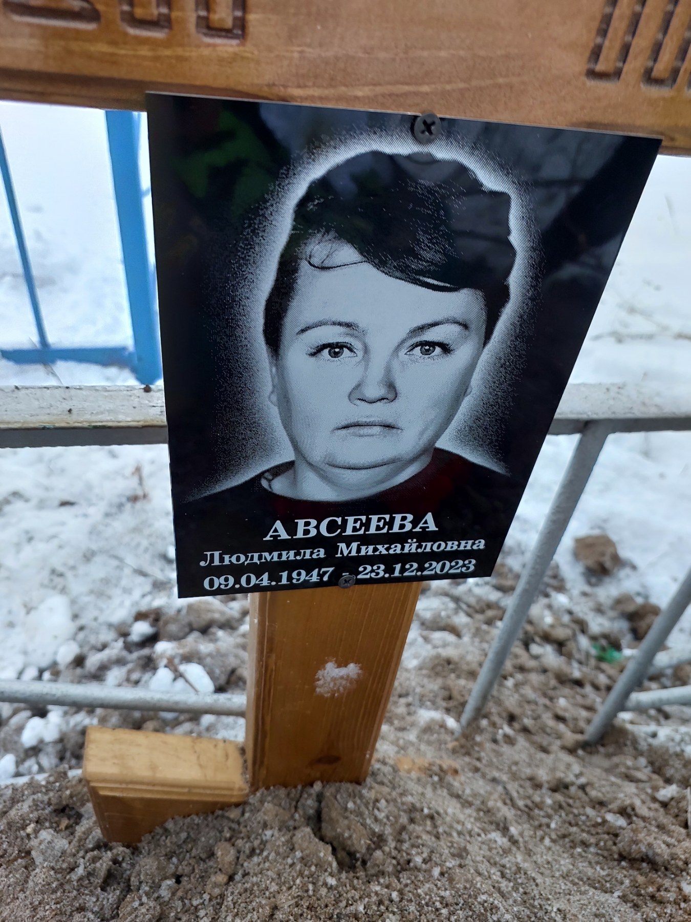 Авсеева Людмила Михайловна