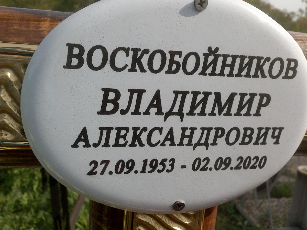 Воскобойников Владимир Александрович