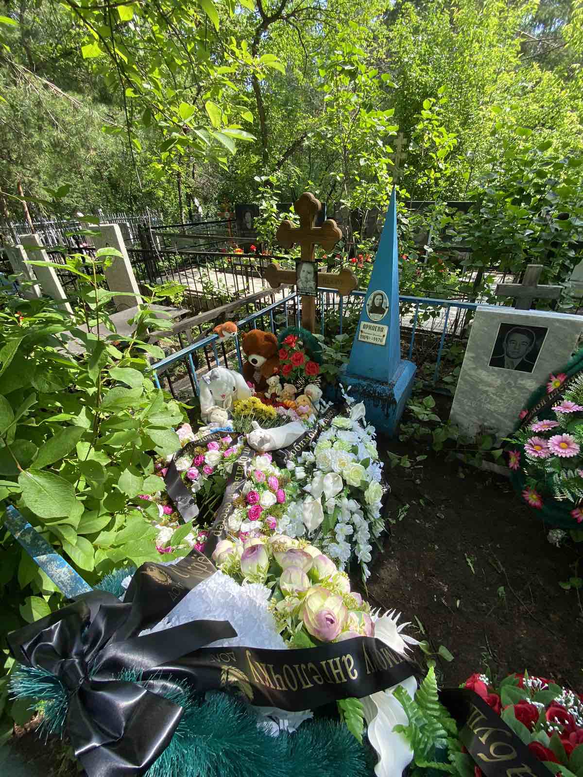 Пряшка Василиса Витальевна