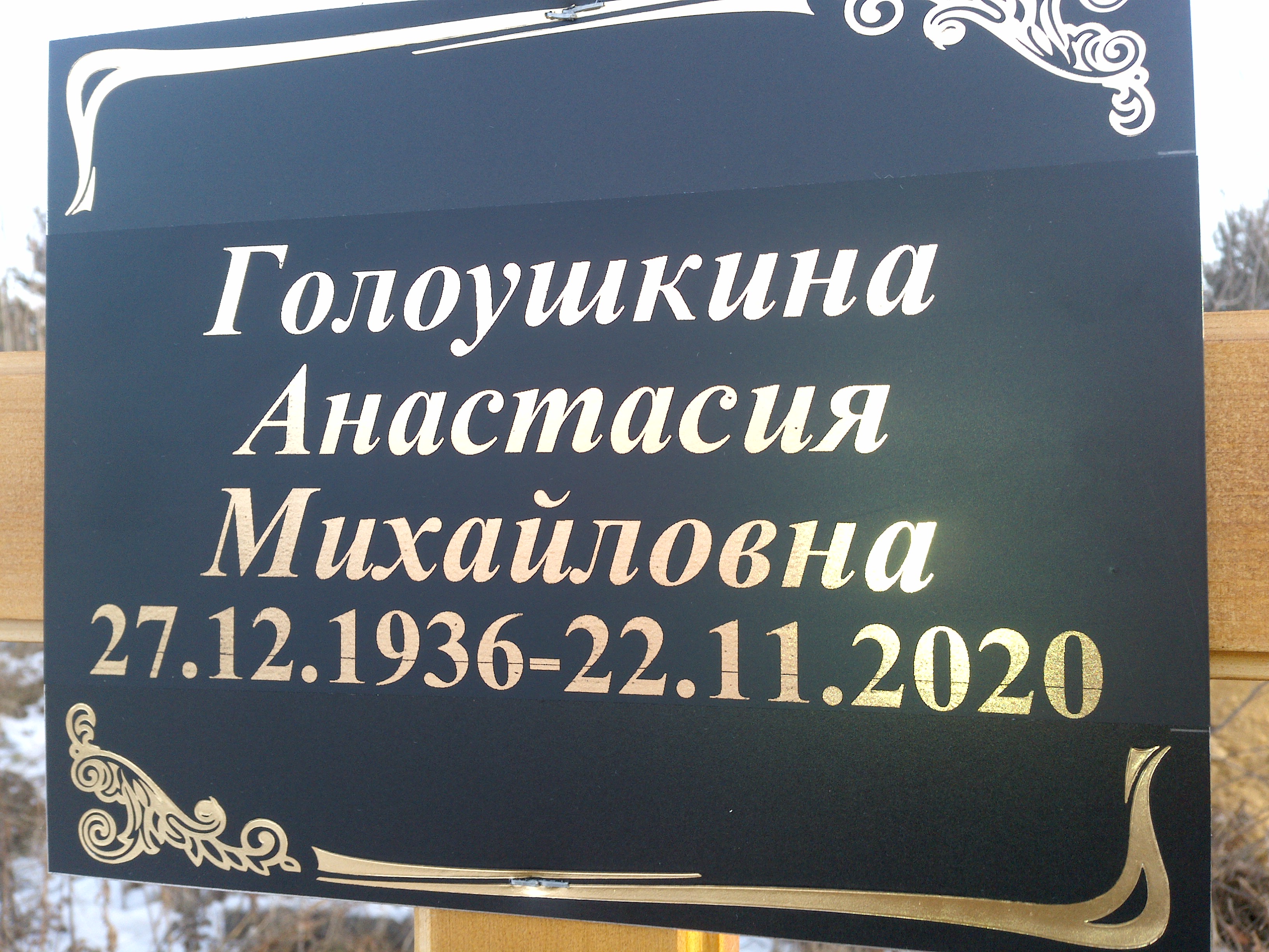 Голоушкина Анастасия Михайловна