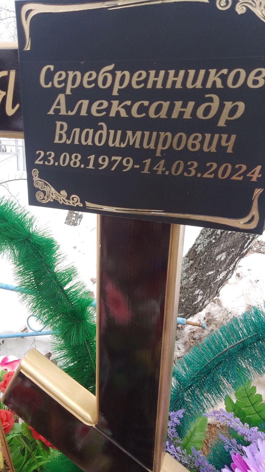 Серебренников Александр Владимирович