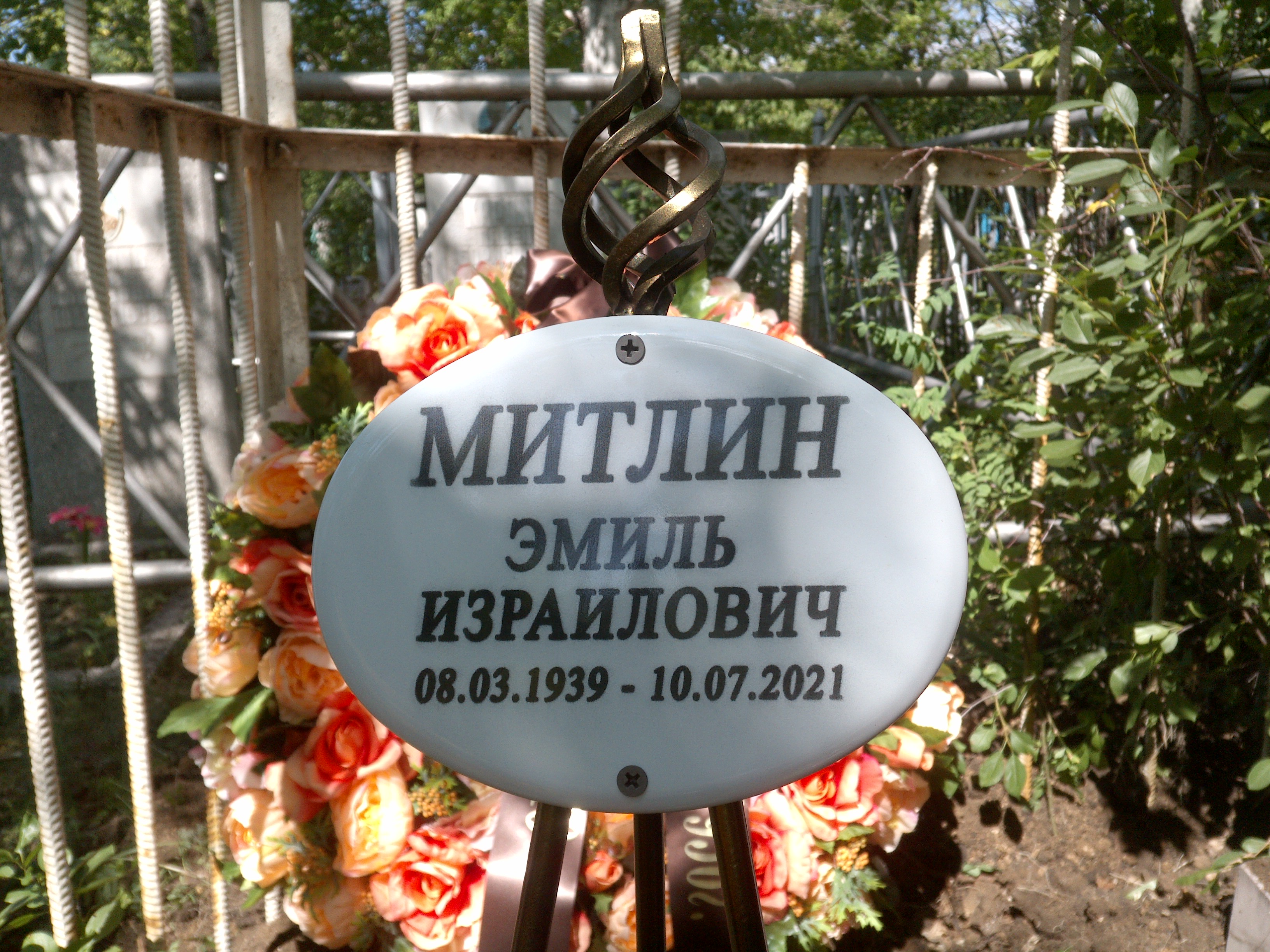 Митлин Эмиль Израилович