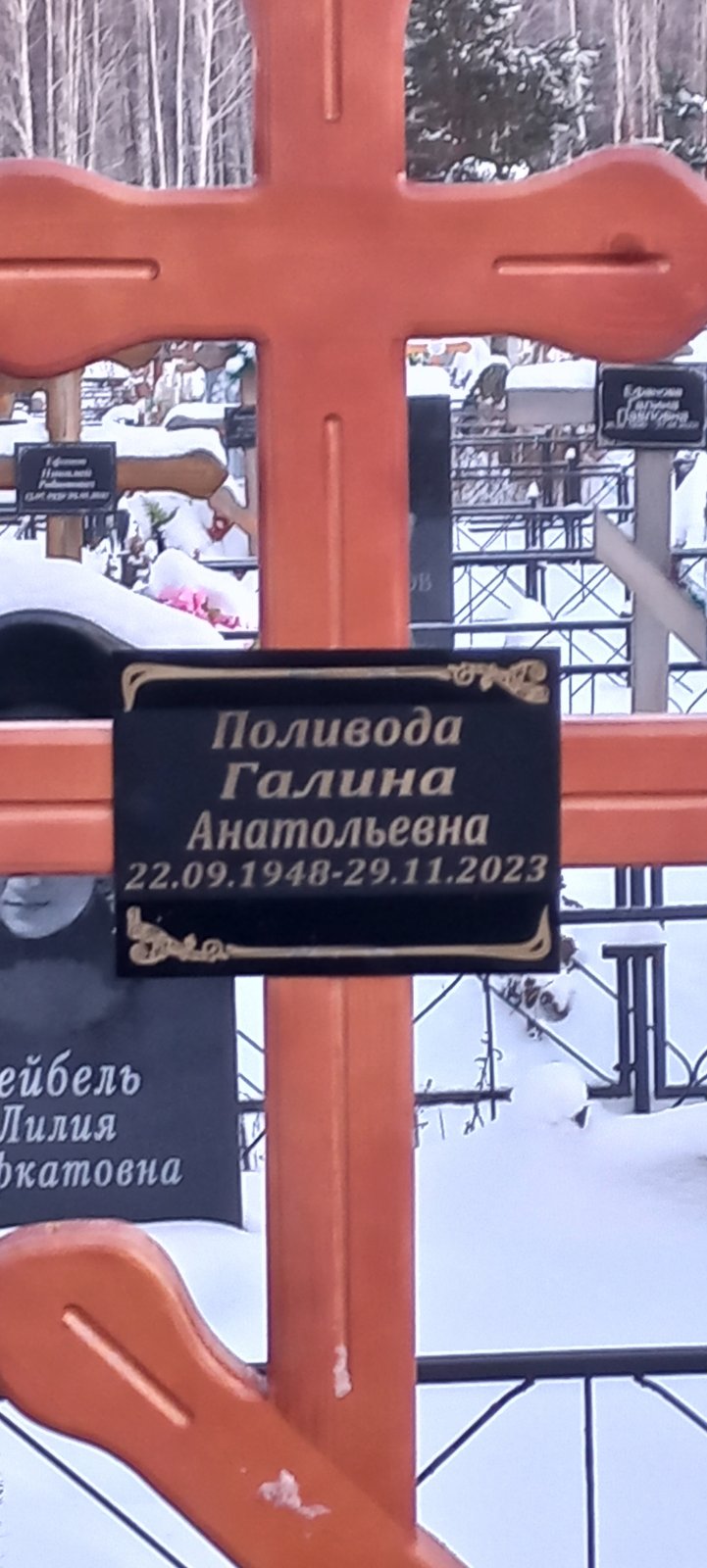 Поливода Галина Анатольевна