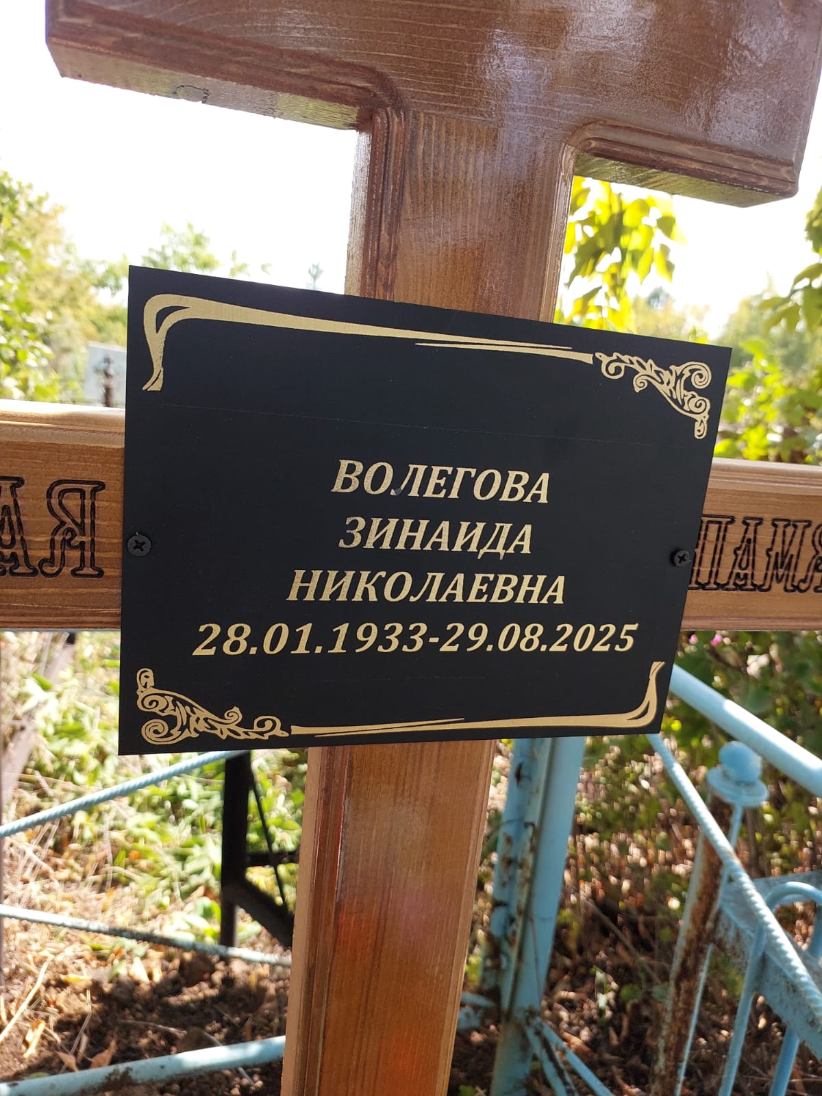 Волегова Зинаида Николаевна