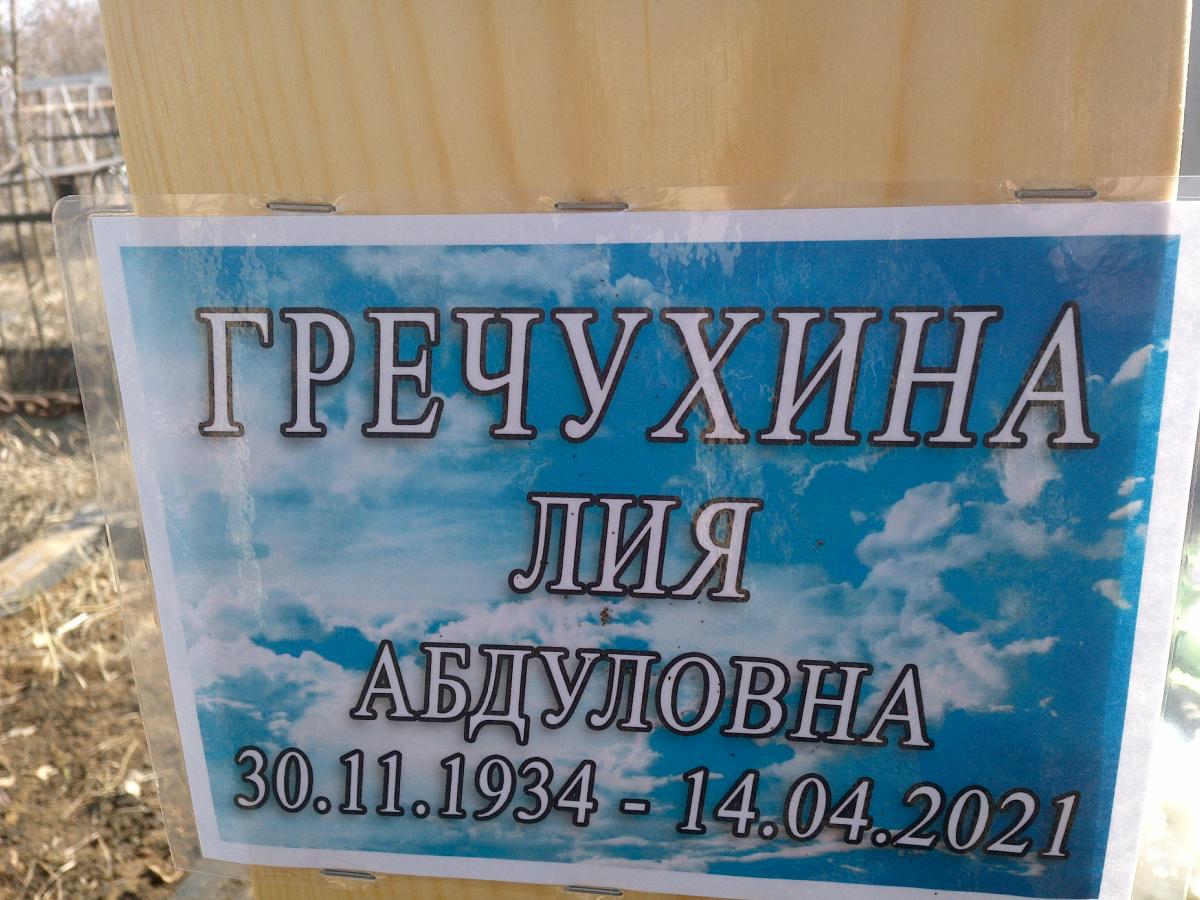 Гречухина Лия Абдуловна
