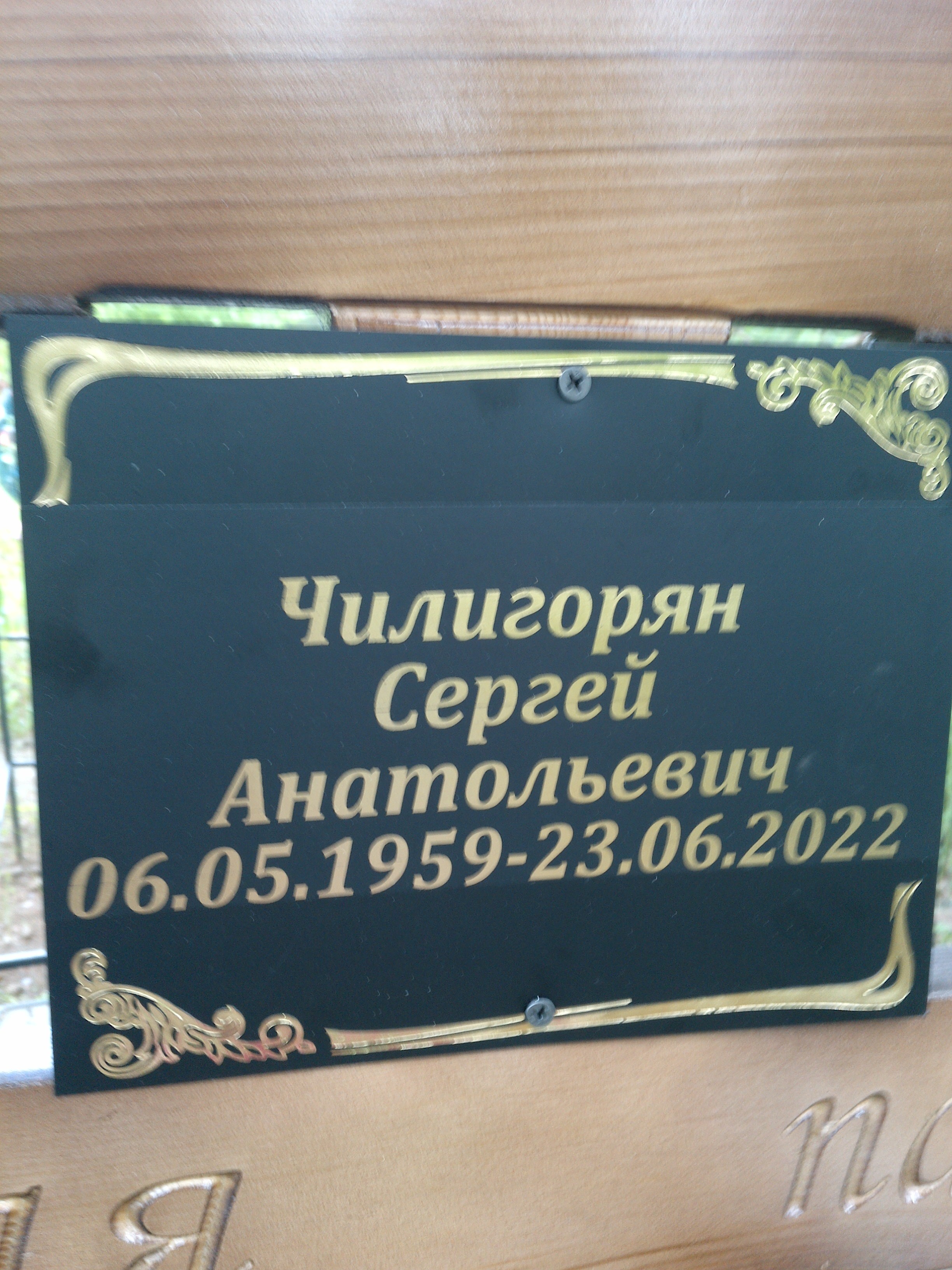 Чилигорян Сергей Анатольевич