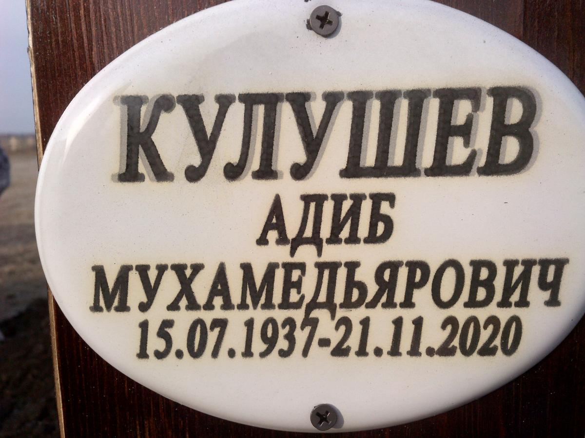 Кулушев Адиб Мухамедьярович