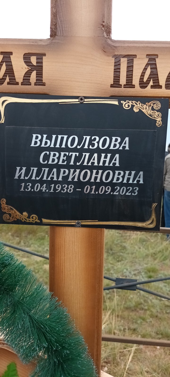 Выползова Светлана Илларионовна