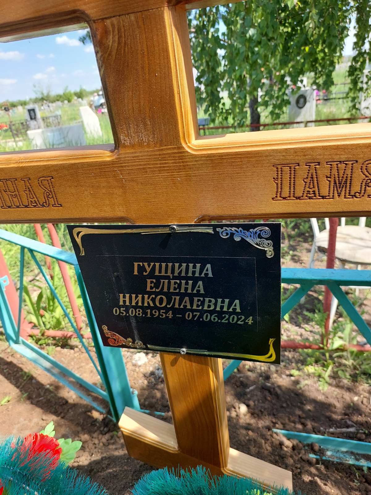 Гущина Елена Николаевна