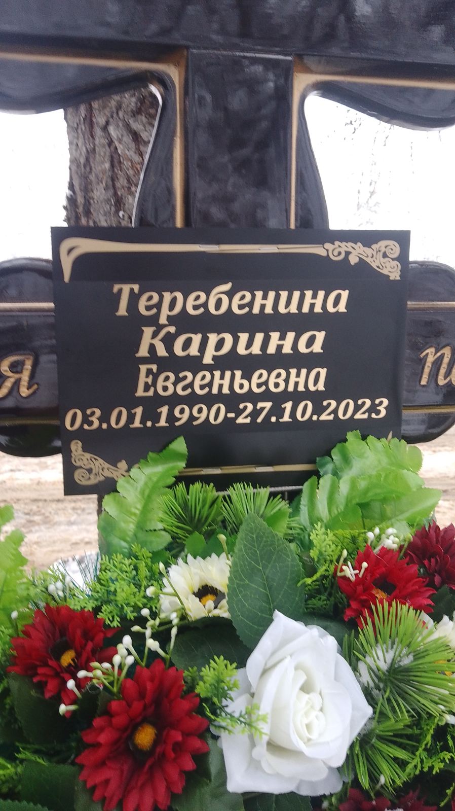 Теребенина Карина Евгеньевна
