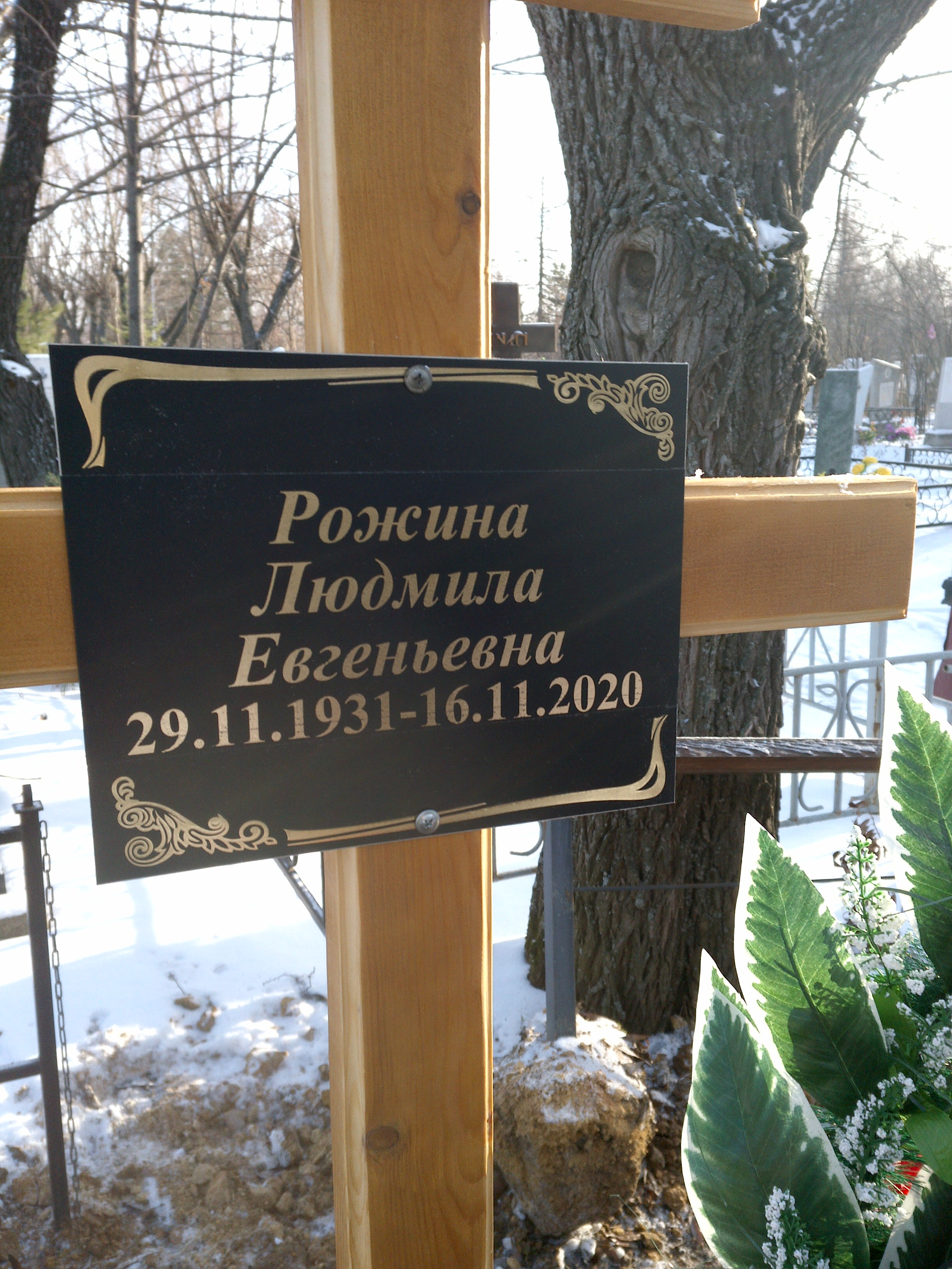 Рожина Людмила Евгеньевна