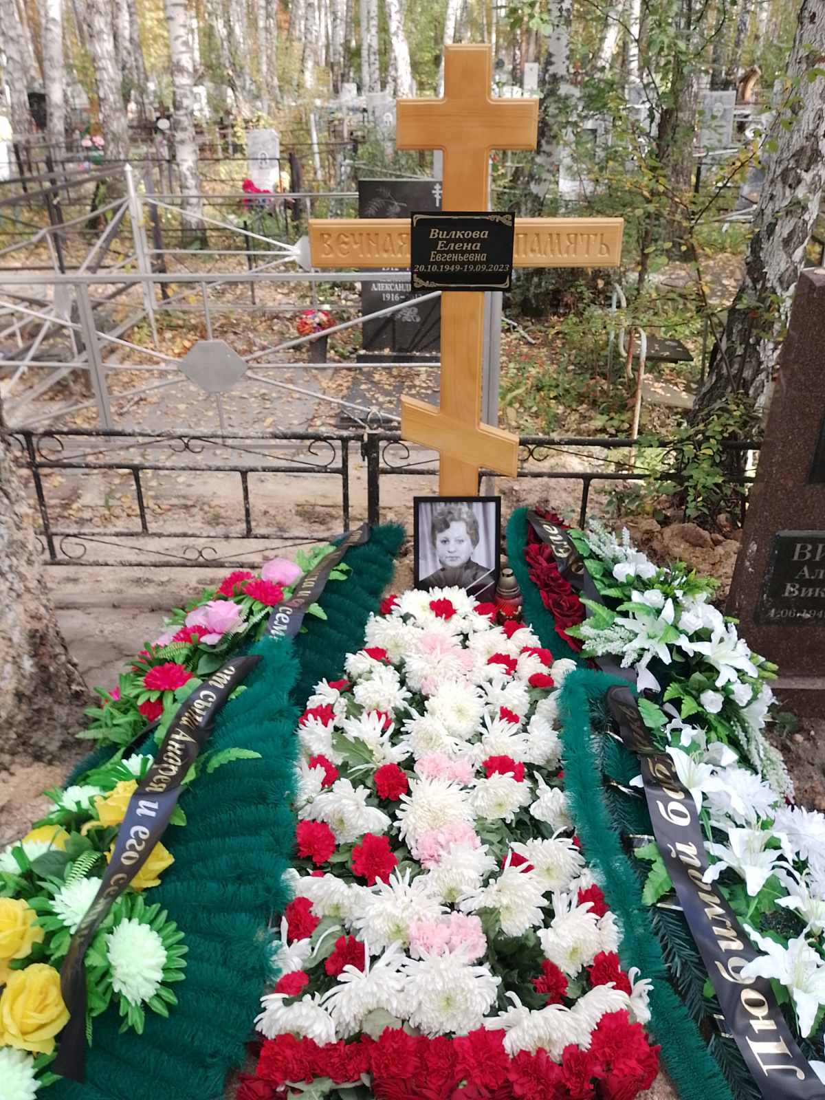 Вилкова Елена Евгеньевна