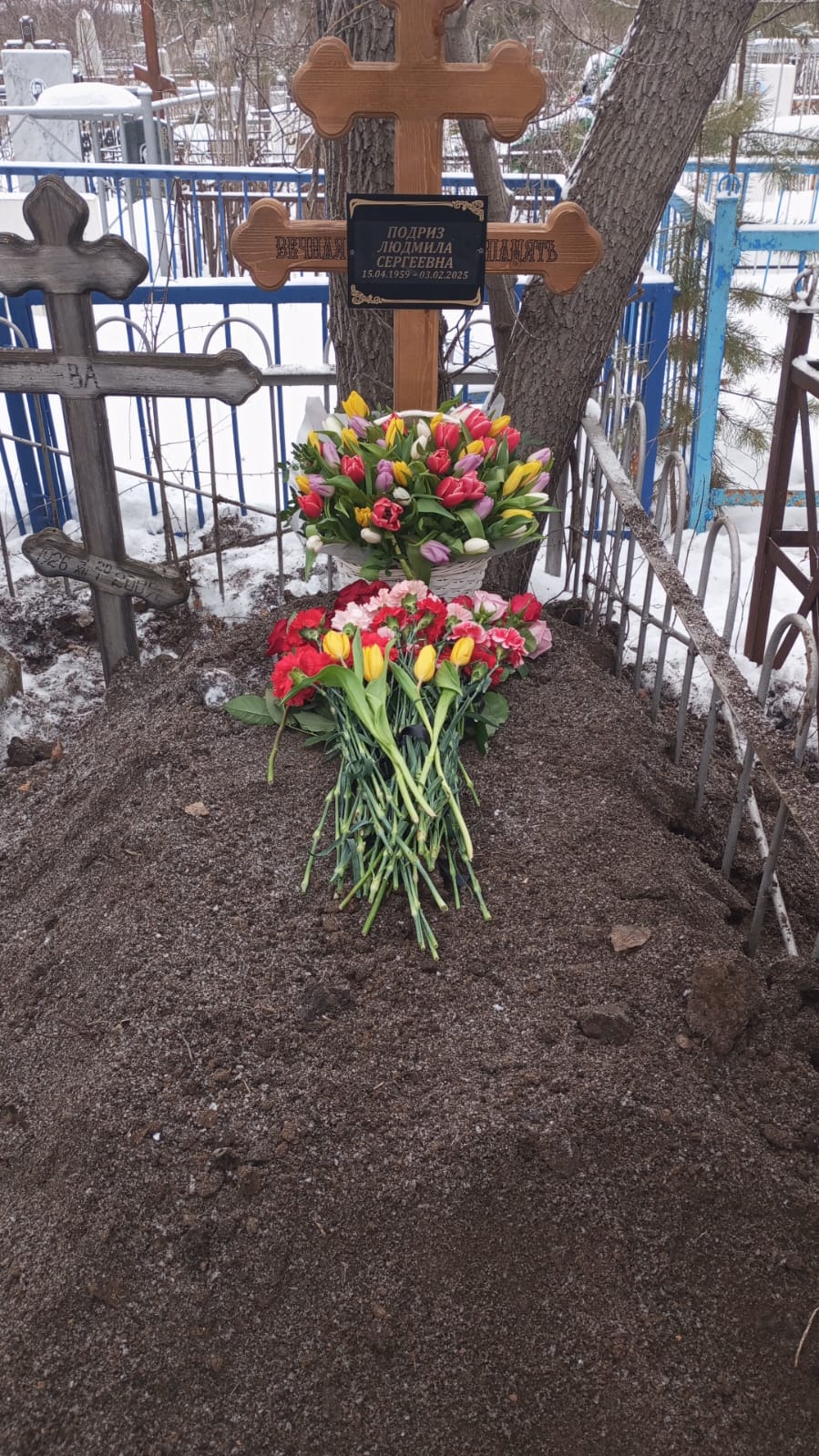 Подриз Людмила Сергеевна