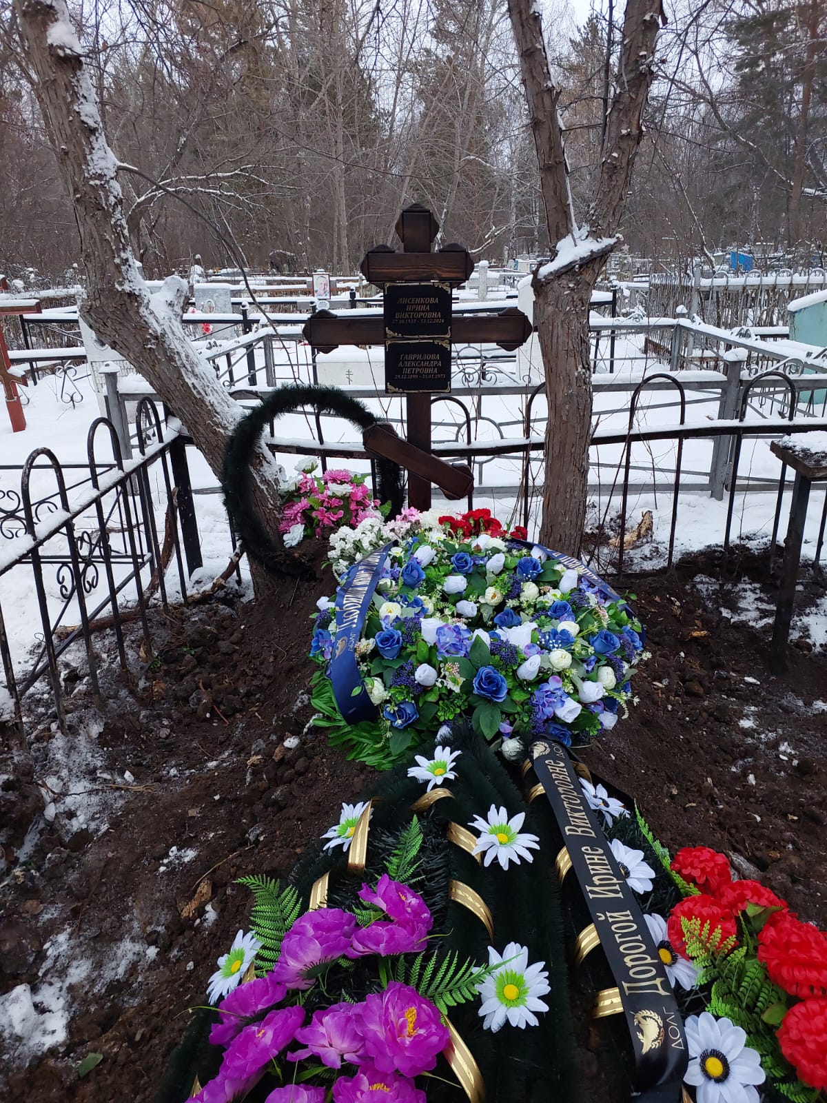 Лисенкова Ирина Викторовна