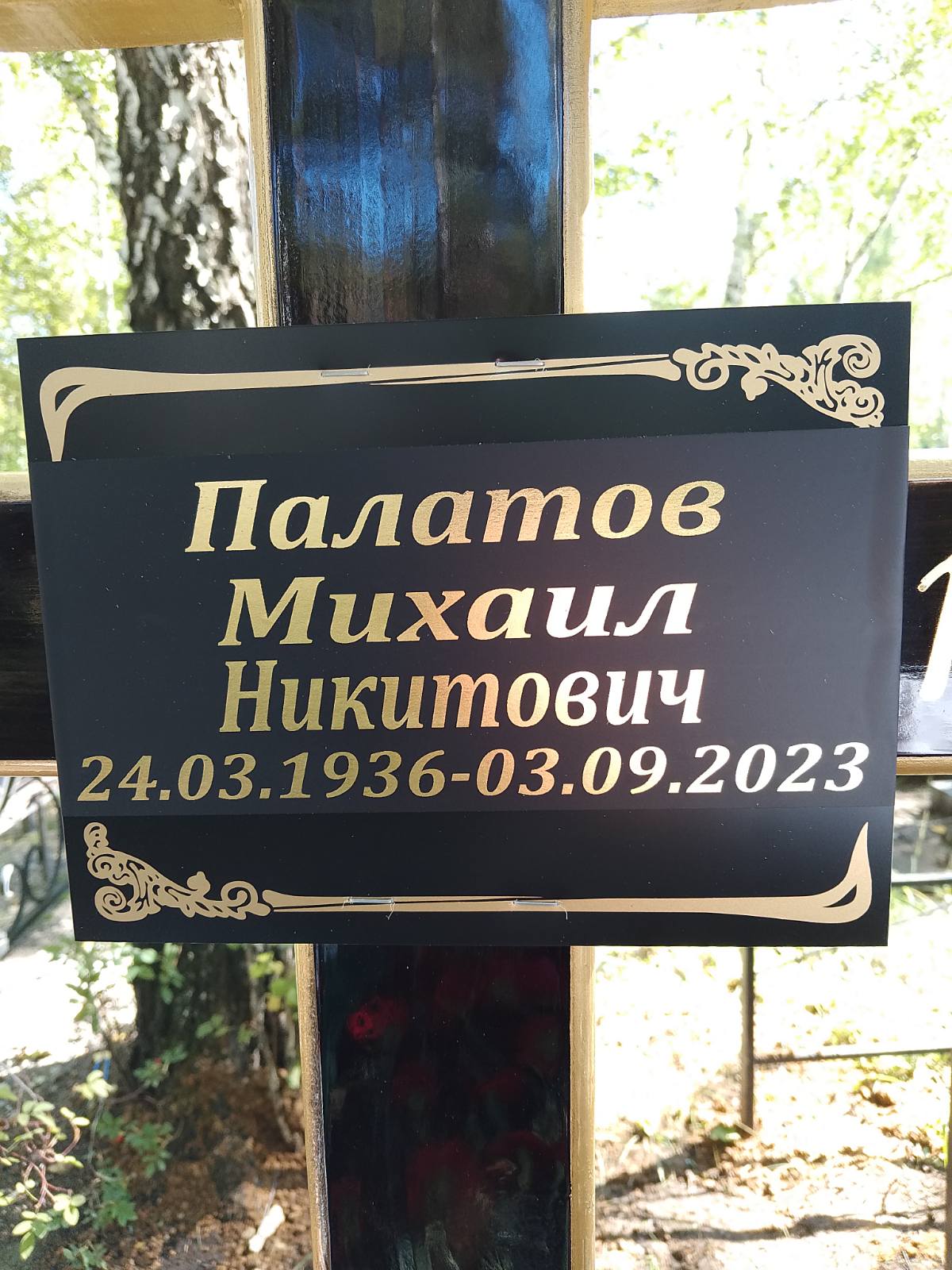 Палатов Михаил Никитович