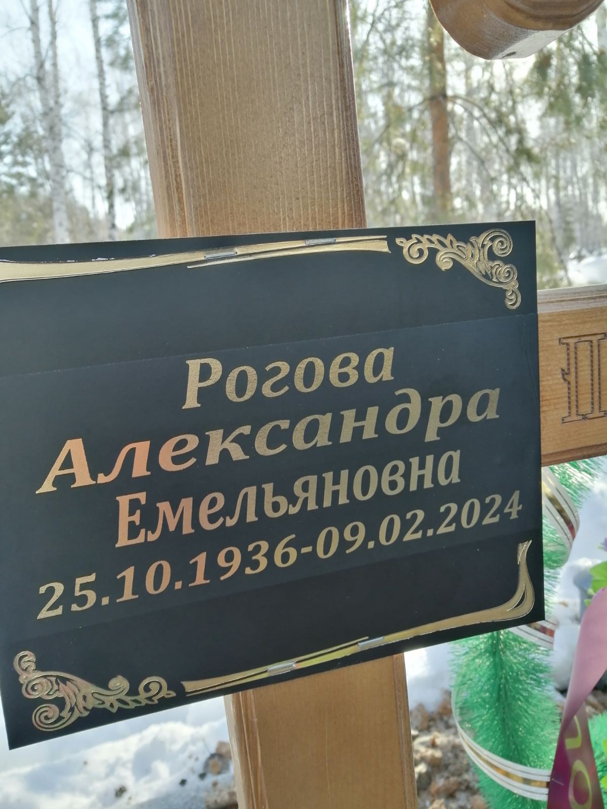 Рогова Александра Емельяновна