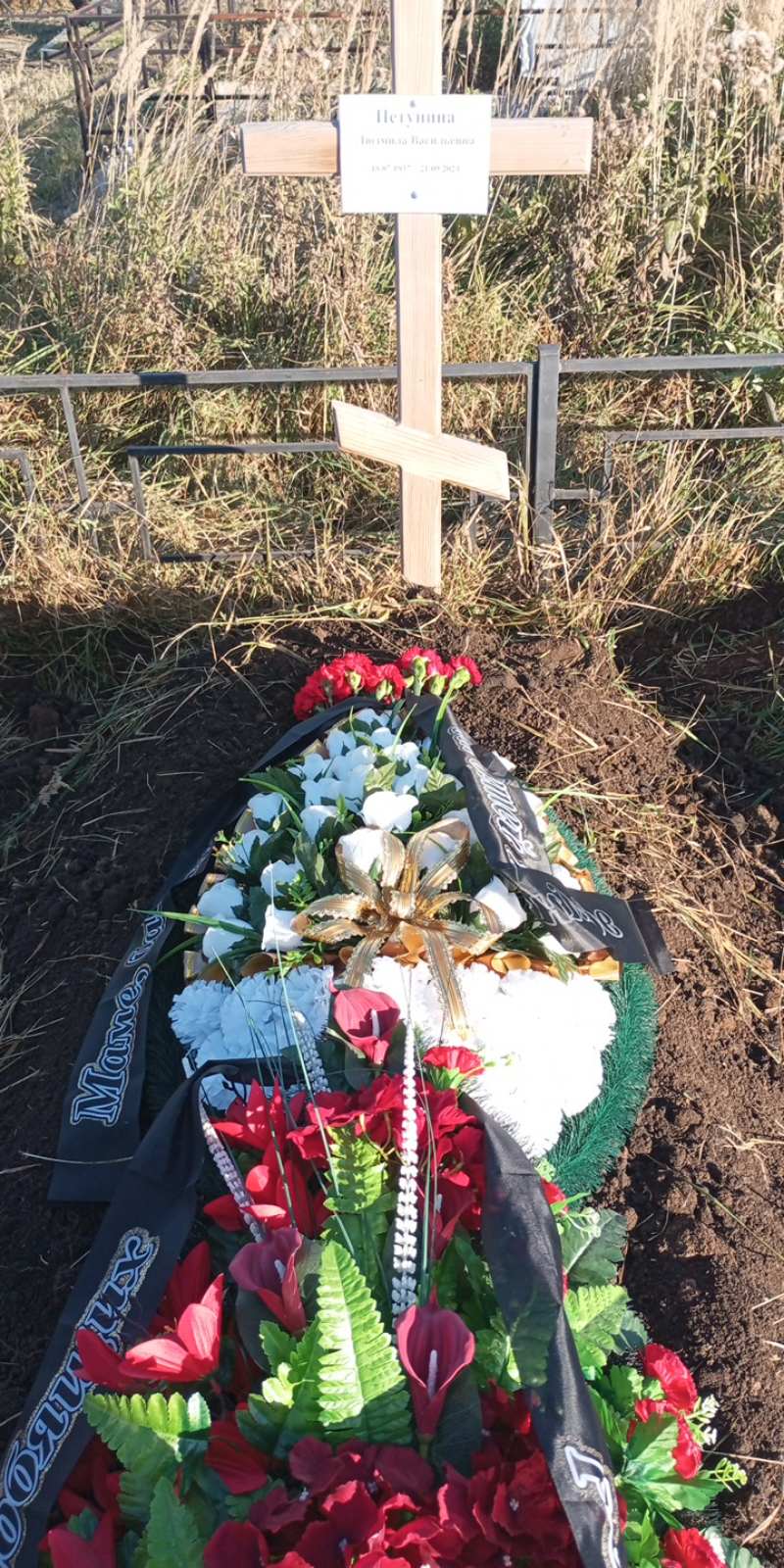 Петунина Людмила Васильевна