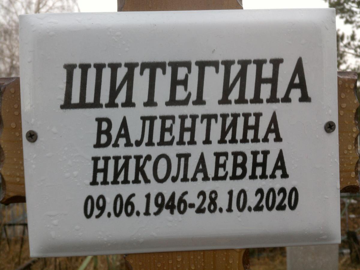 Шитегина Валентина Николаевна