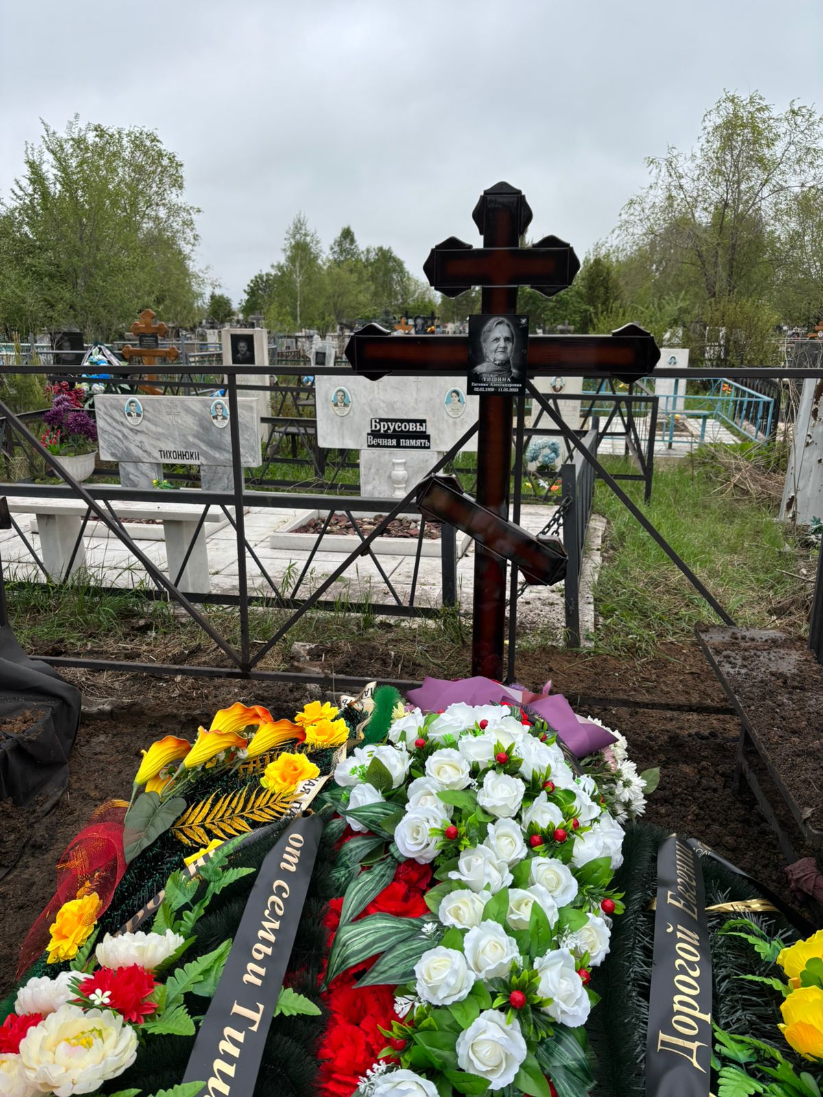 Тишина Евгения Александровна