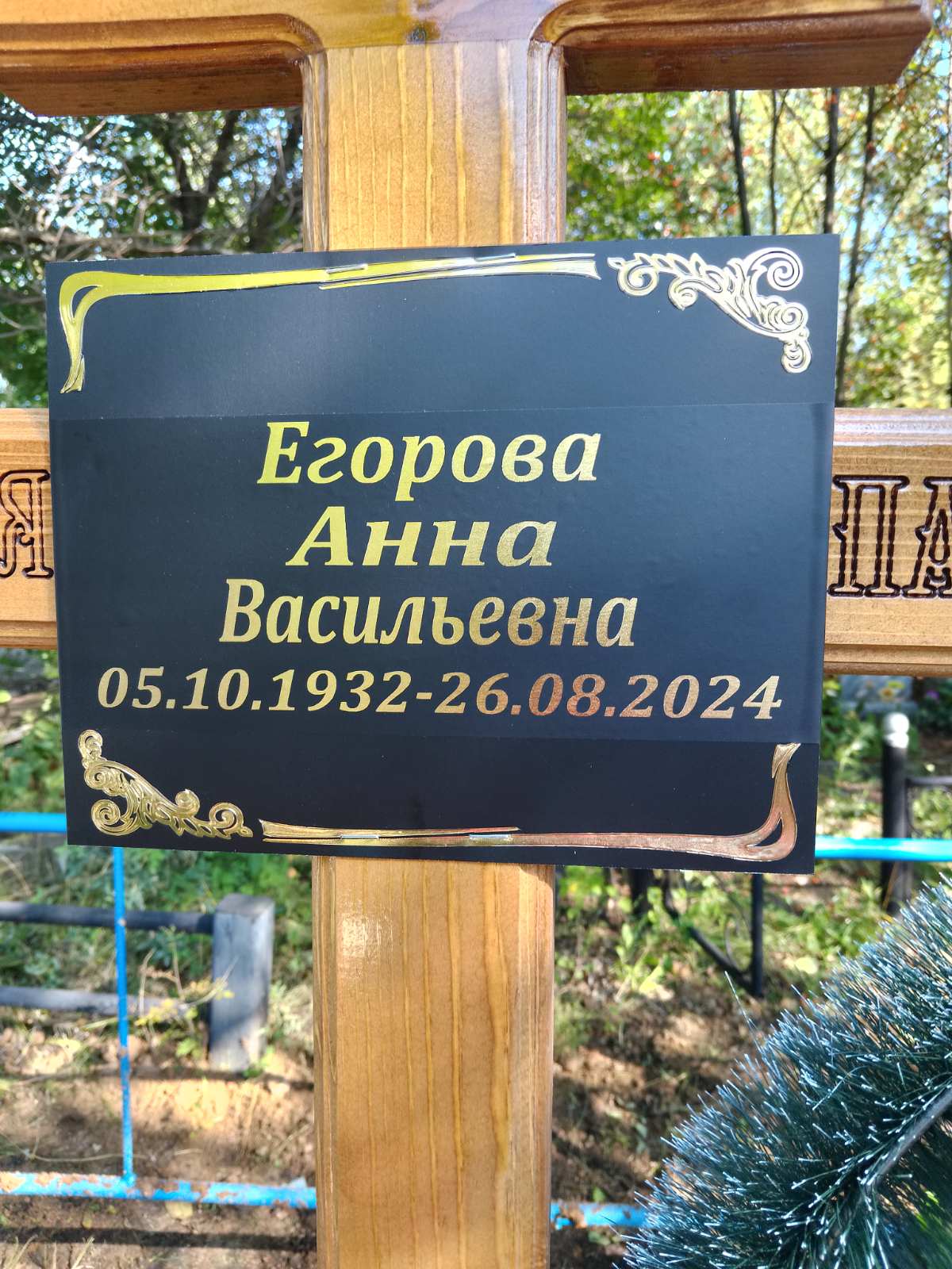 Егорова Анна Васильевна