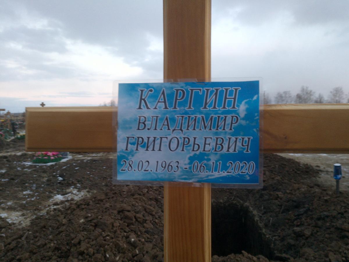 Каргин Владимир Григорьевич