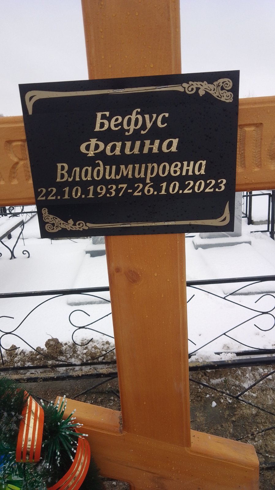 Бефус Фаина Владимировна