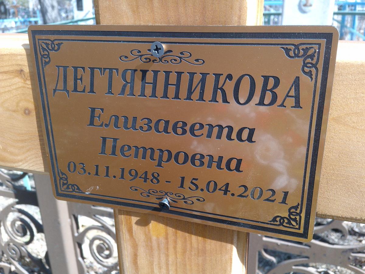 Дегтянникова Елизавета Петровна