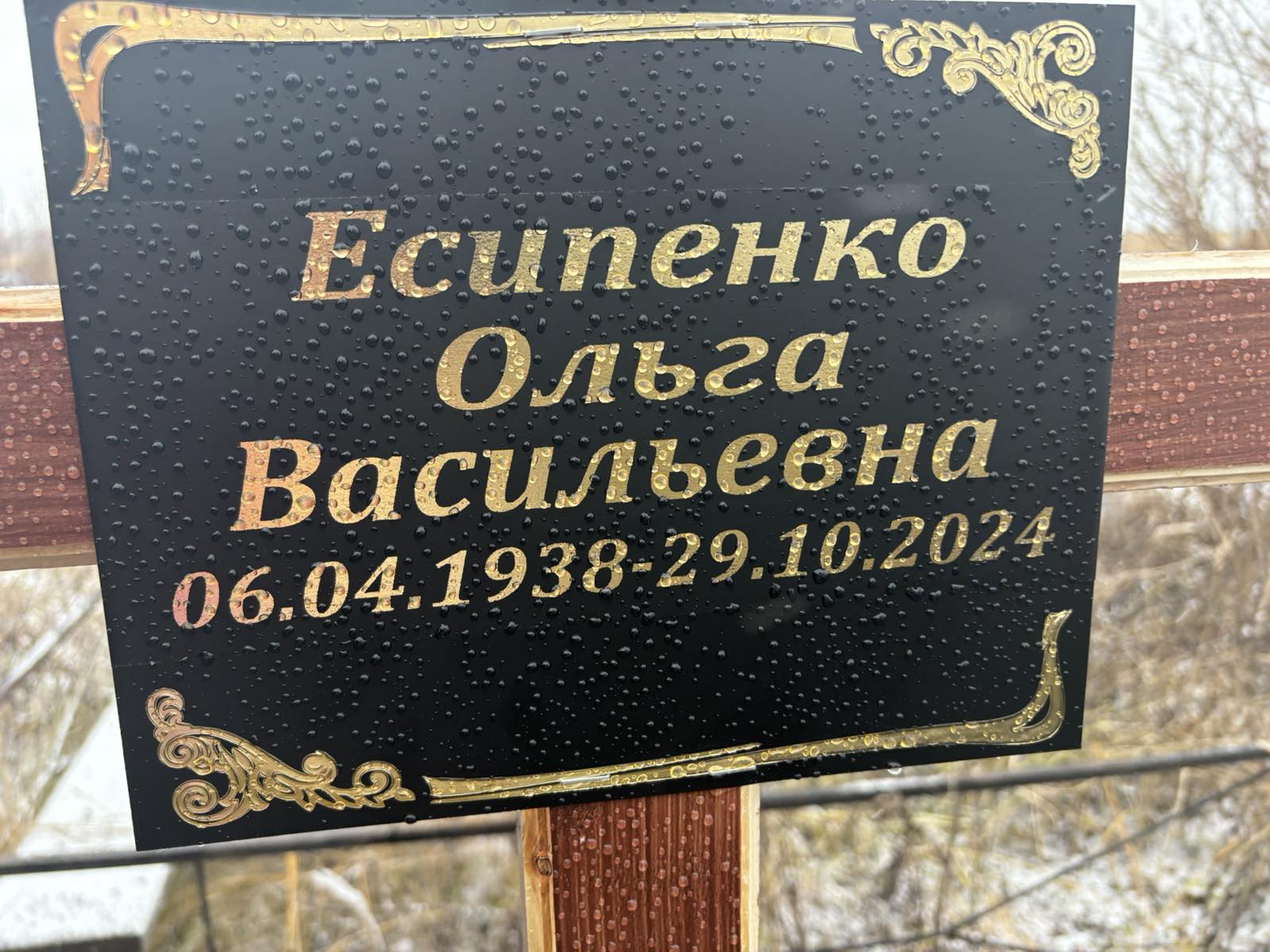 Есипенко Ольга Васильевна