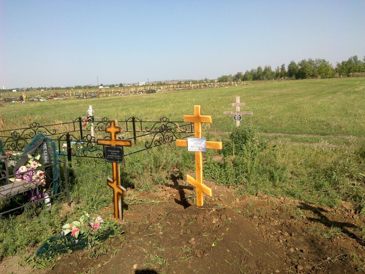 Анищенко Виктор Николаевич