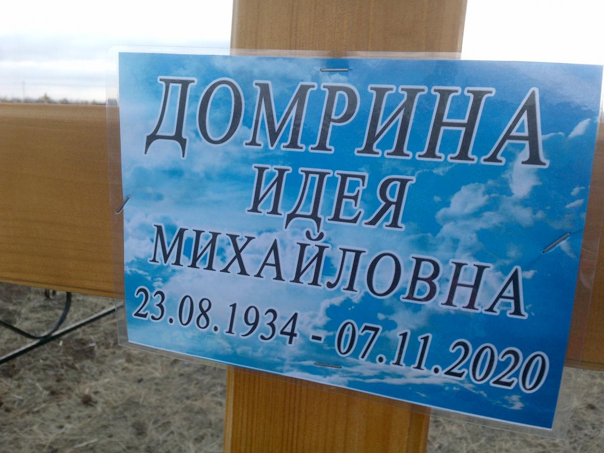 Домрина Идея Михайловна