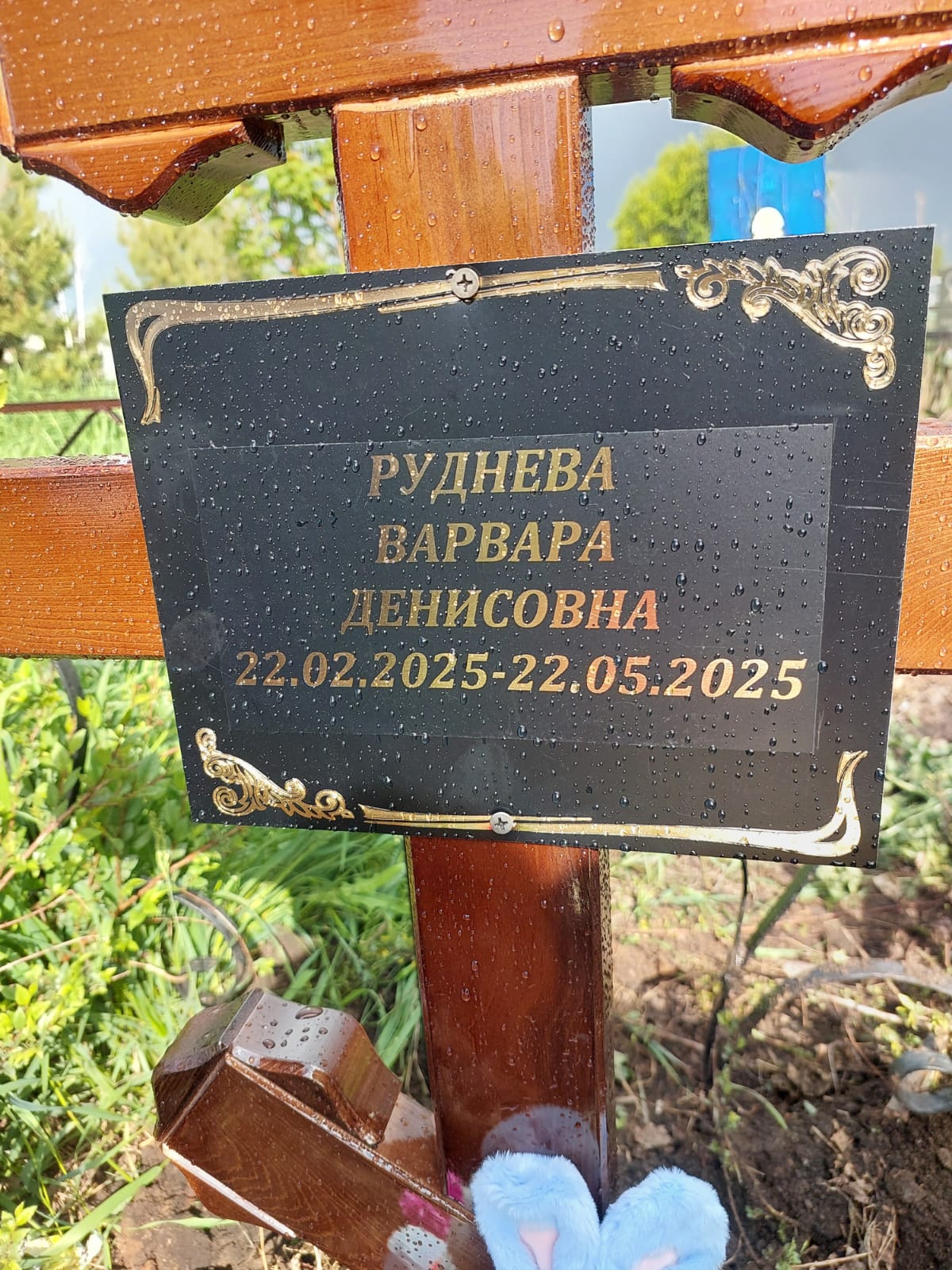 Руднева Варвара Денисовна