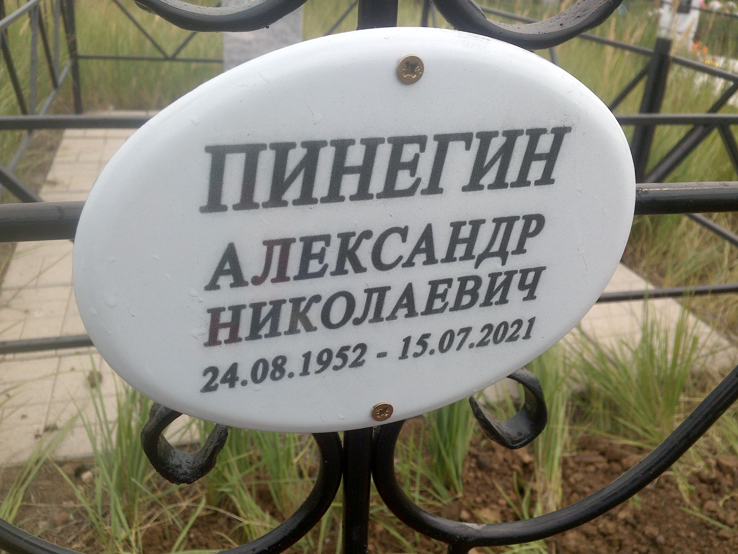 Пинегин Александр Николаевич