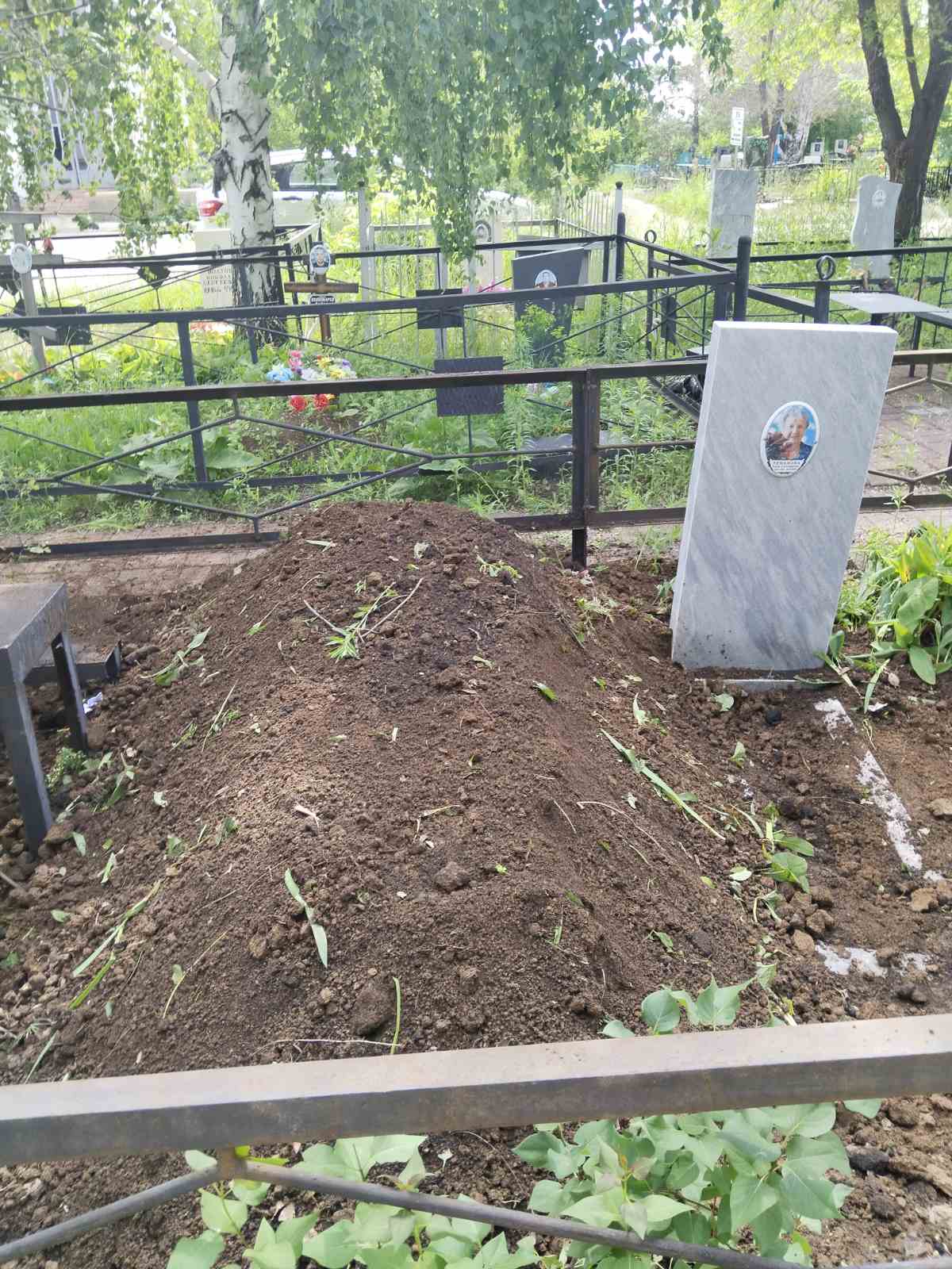 Божко Татьяна Ивановна