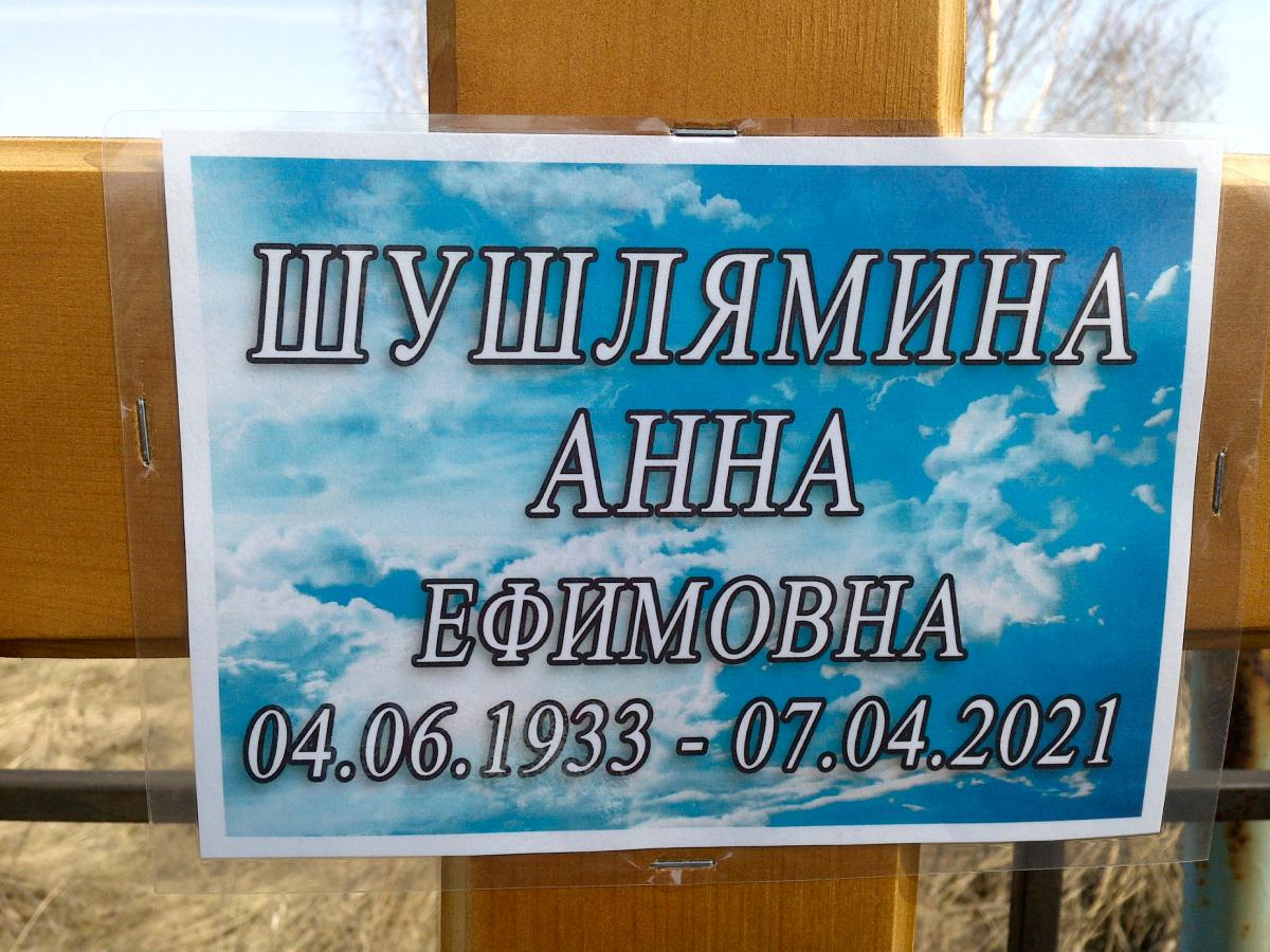 Шушлямина Анна Ефимовна