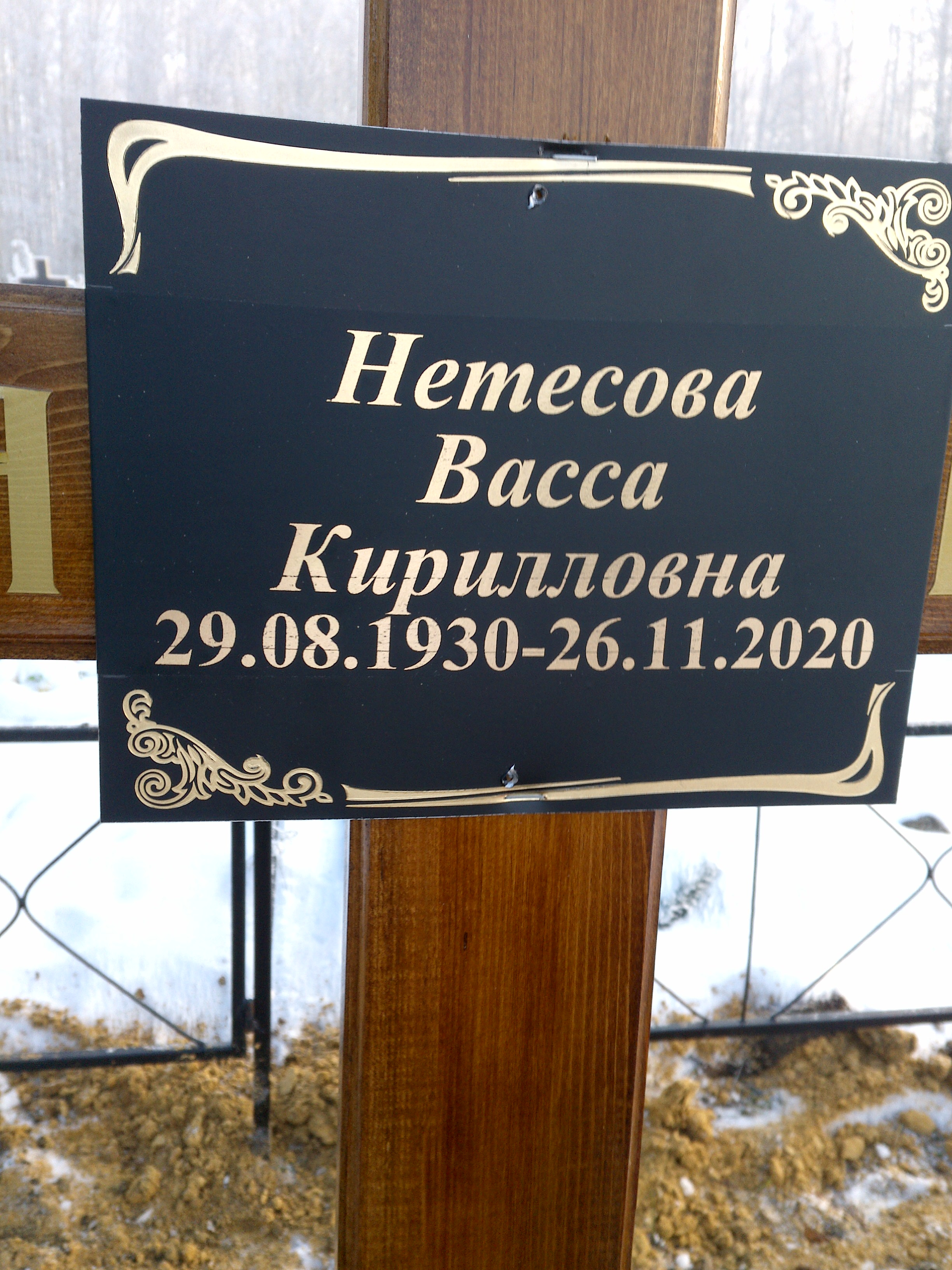 Нетесова Васса Кирилловна