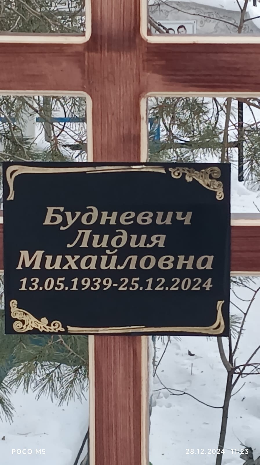Будневич Лидия Михайловна