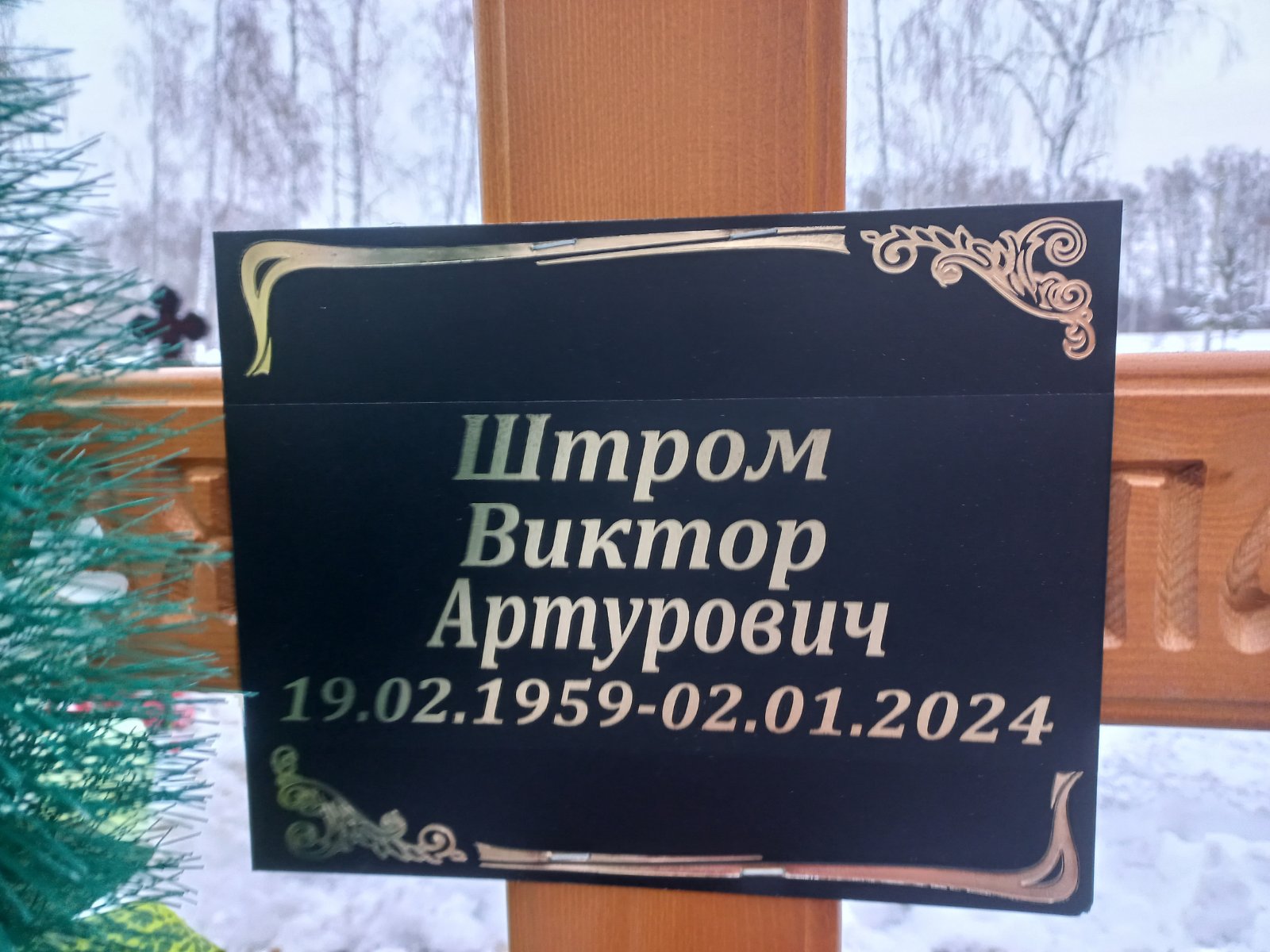 Штром Виктор Артурович