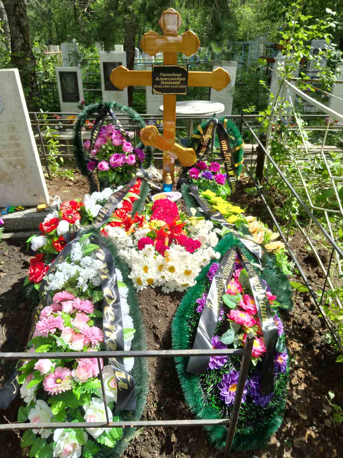 Ушмодина Александра Зиновьевна
