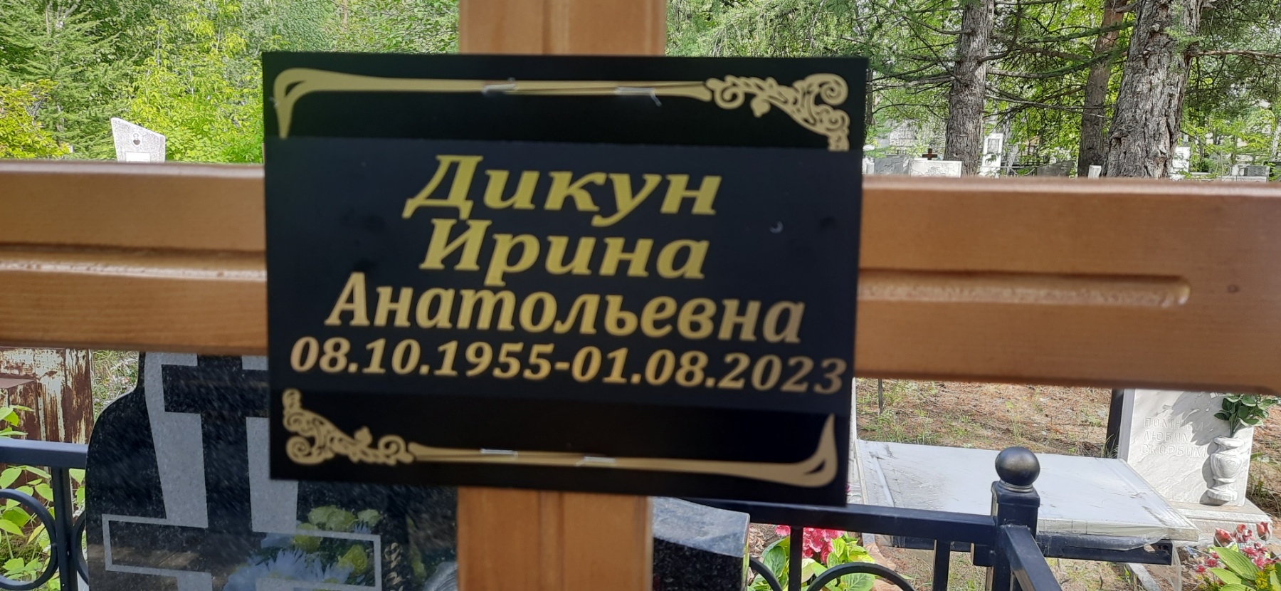 Дикун Ирина Анатольевна