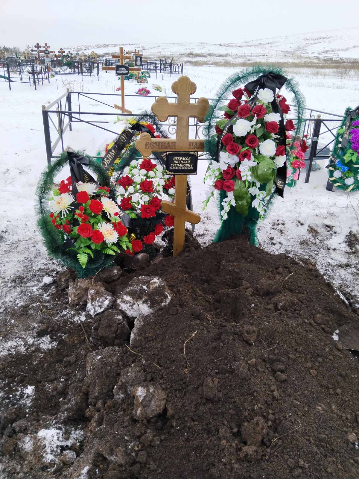 Некрасов Николай Степанович