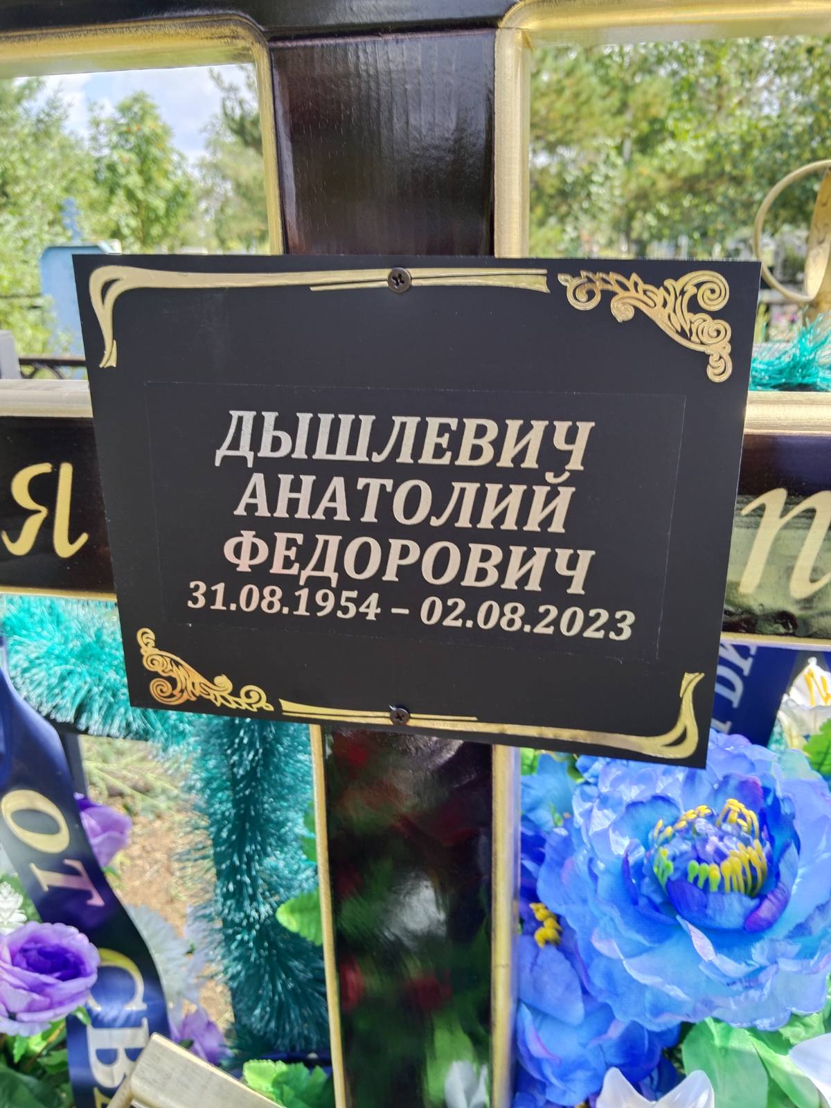 Дышлевич Анатолий Федорович