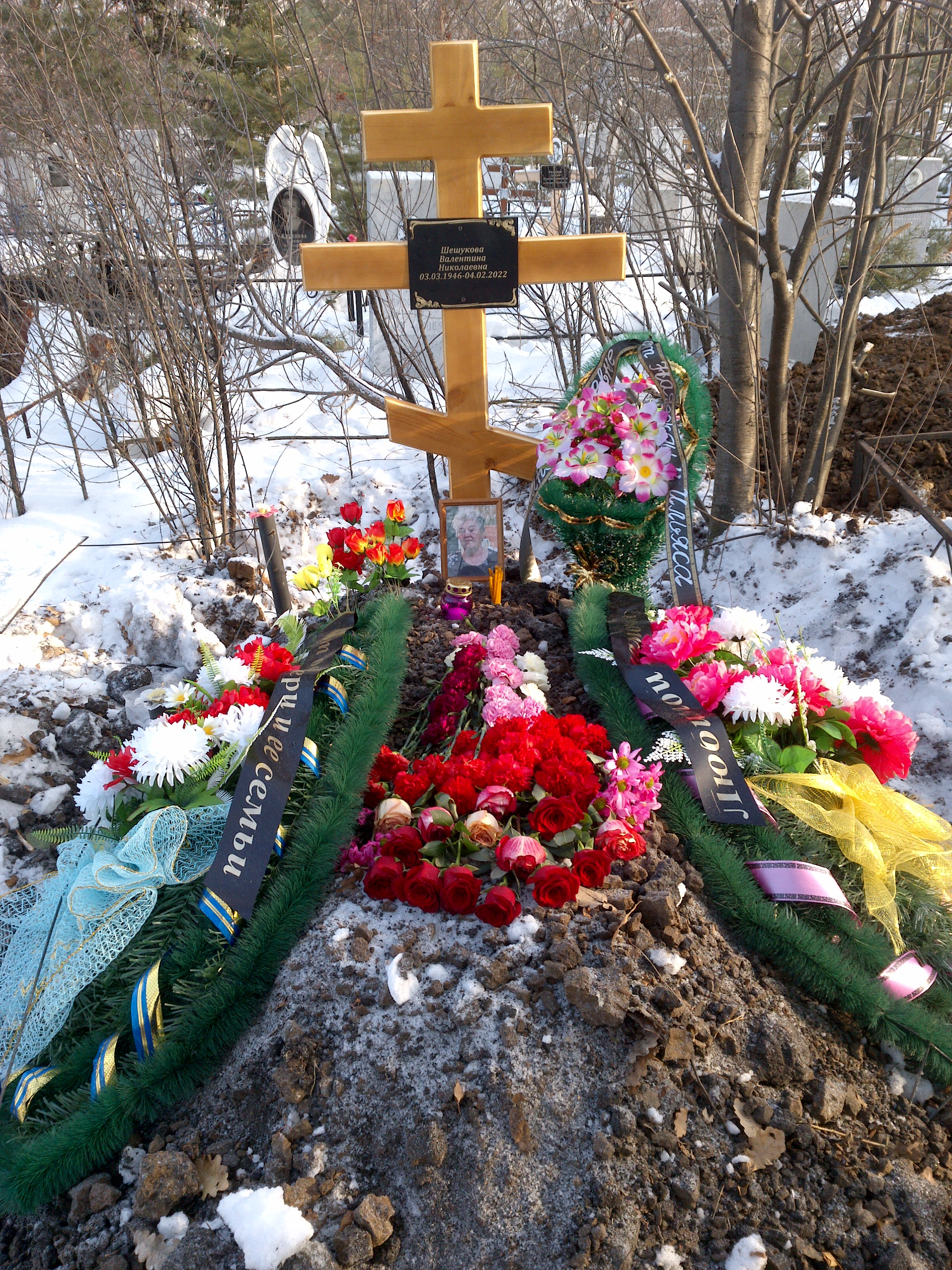 Шишукова Валентина Николаевна