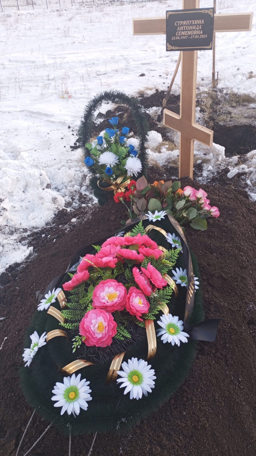 Стряпухина Антонида Семёновна