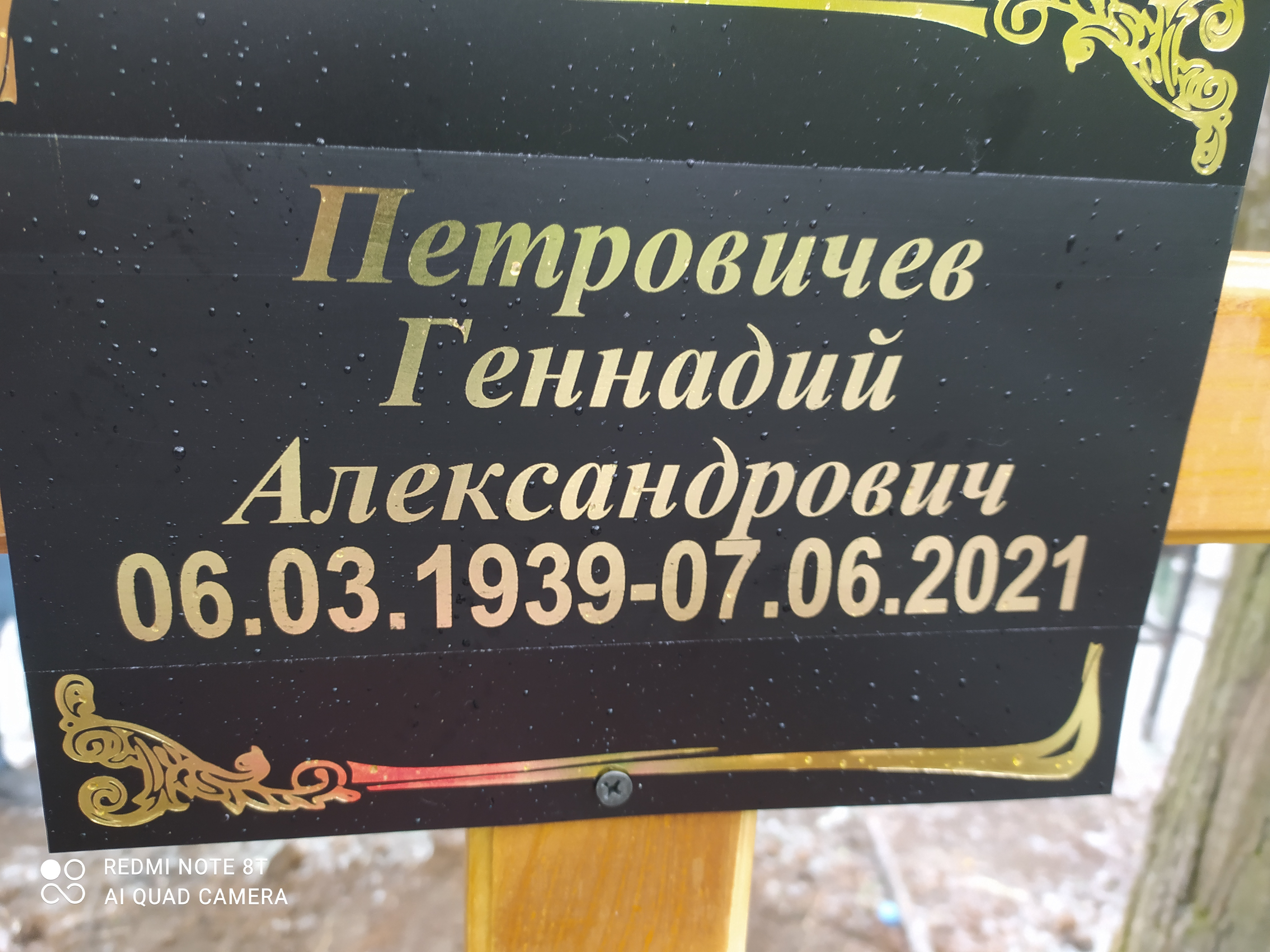 Петровичев Геннадий Александрович