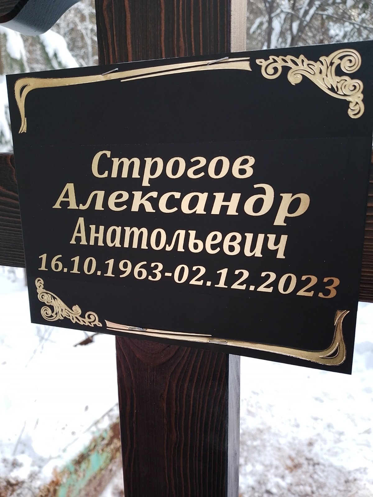 Строгов Александр Анатольевич