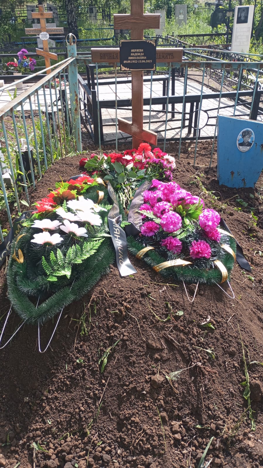 Ибряева Надежда Николаевна